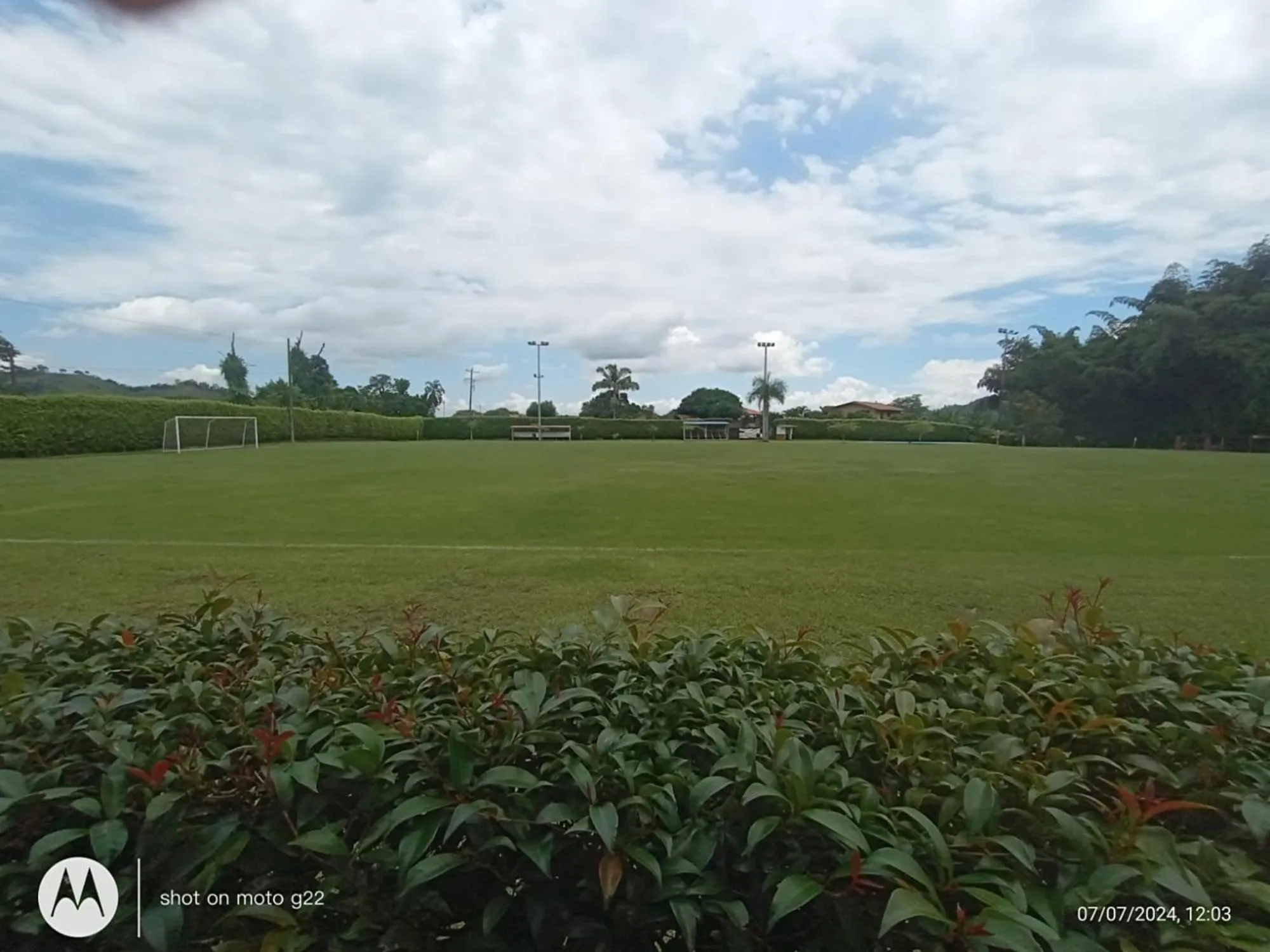 Spring in Hotel Palo Grande CF Pereira