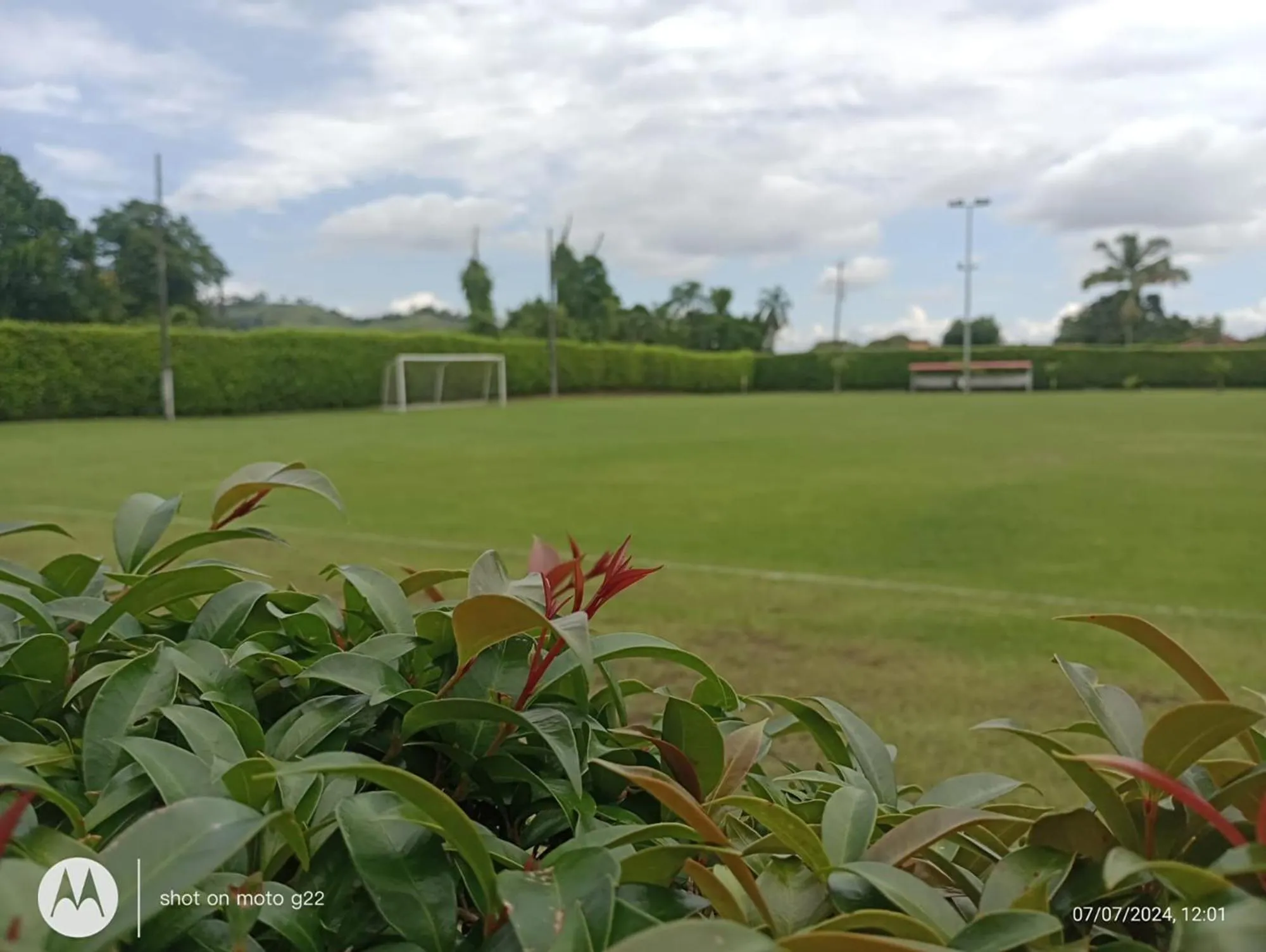 Day in Hotel Palo Grande CF Pereira