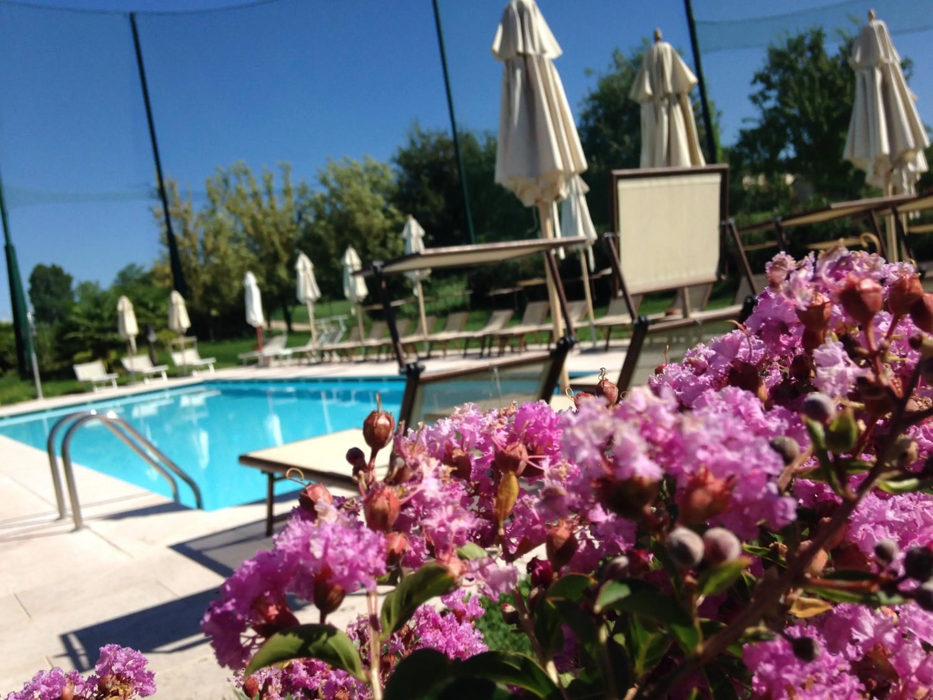 Swimming pool in Apartments Relais Corte Paradiso