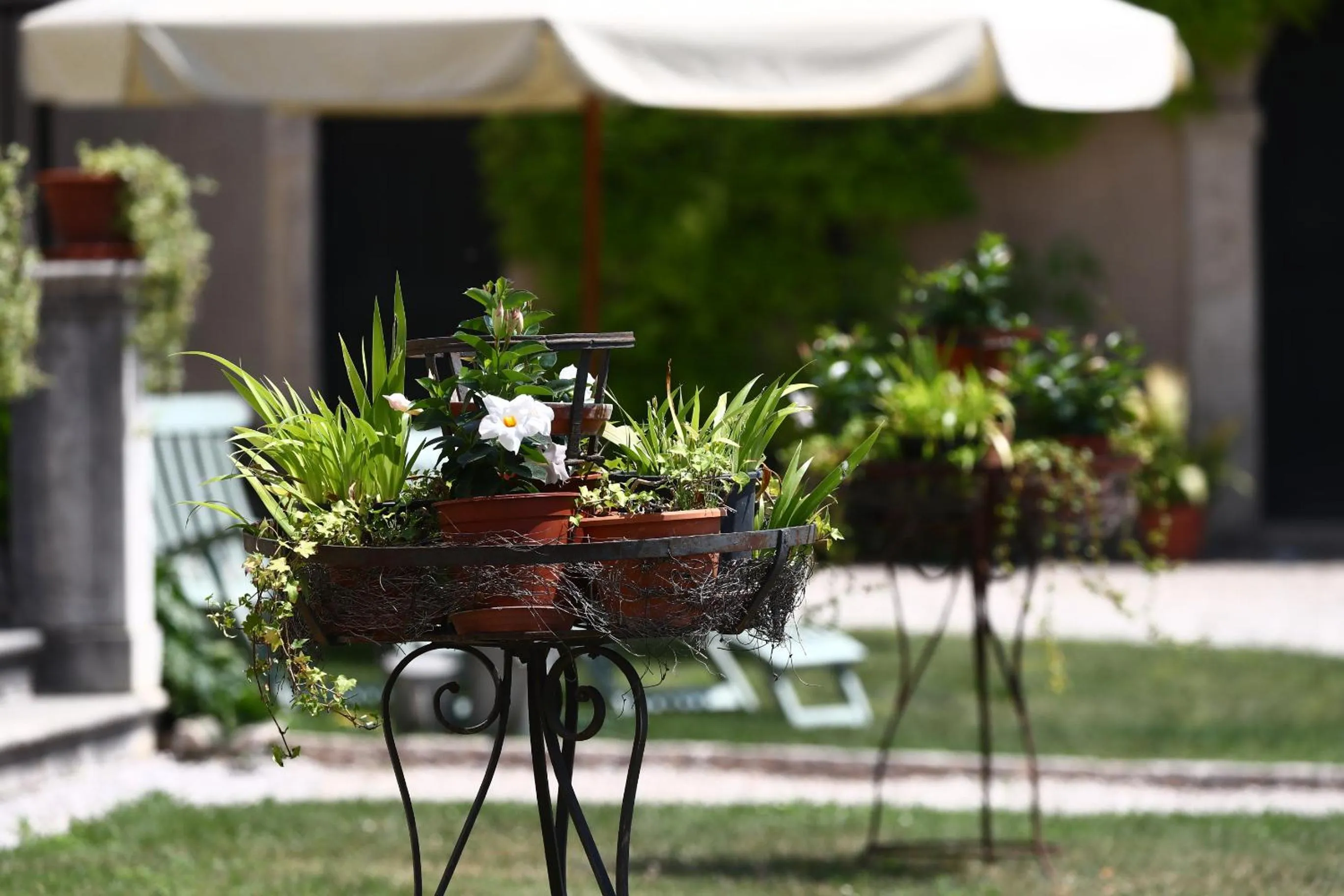 Garden in Apartments Relais Corte Paradiso