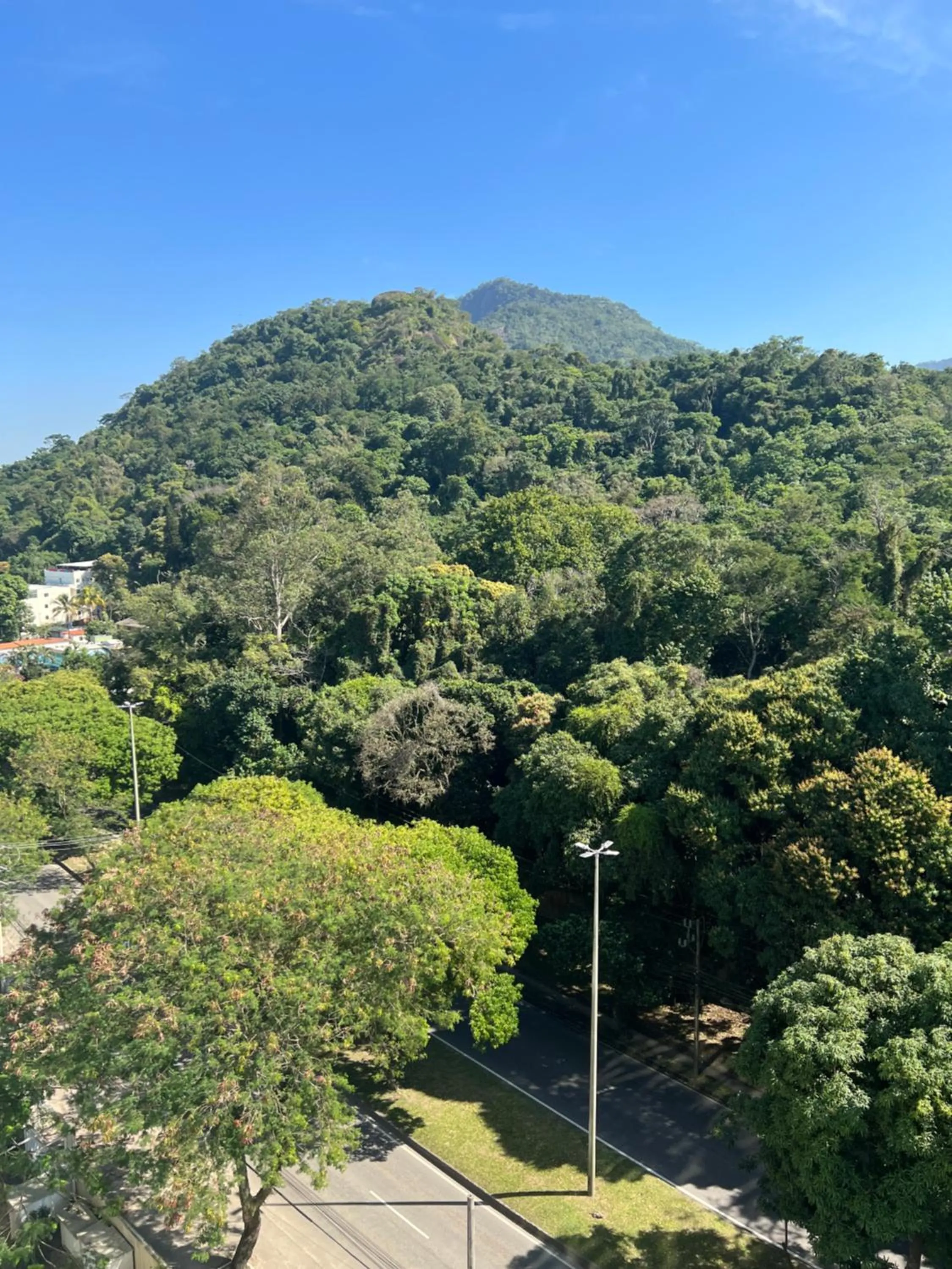 Natural landscape in Flats Rio Stay