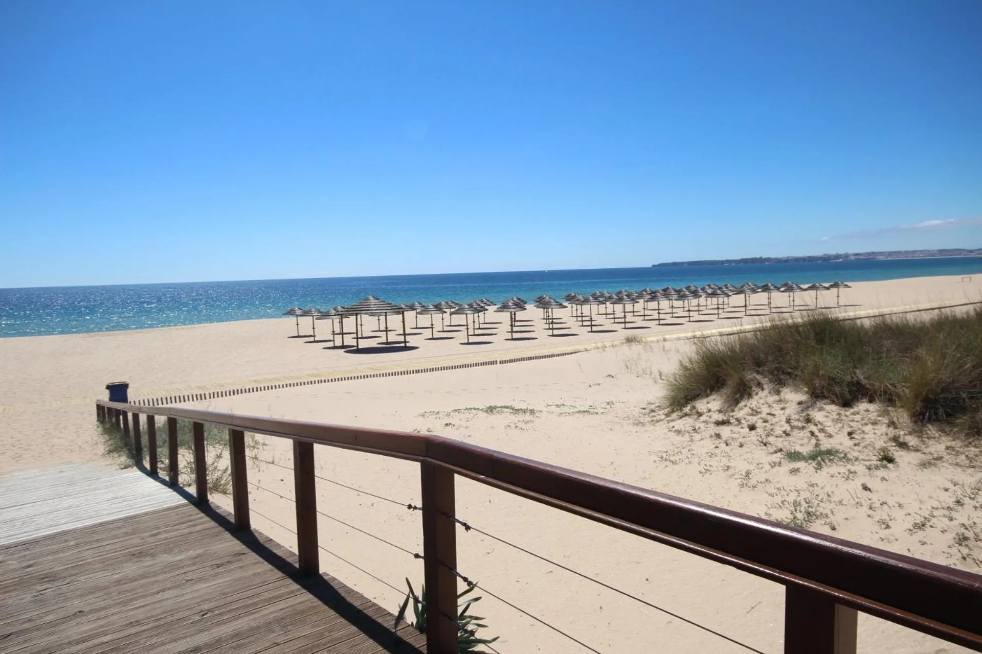 Beach in Apartment on the beach by amcf