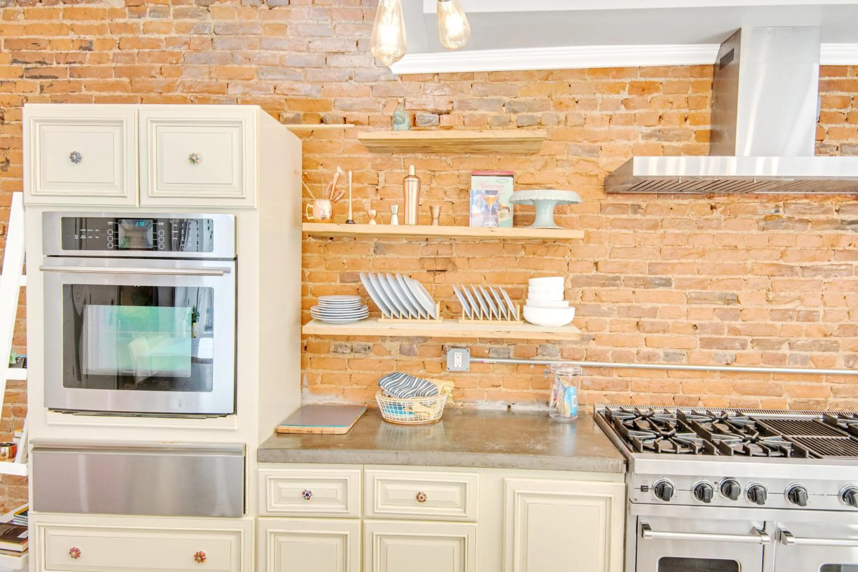 pet friendly in Spacious Oasis - Parking, Private Patio & Roofdeck