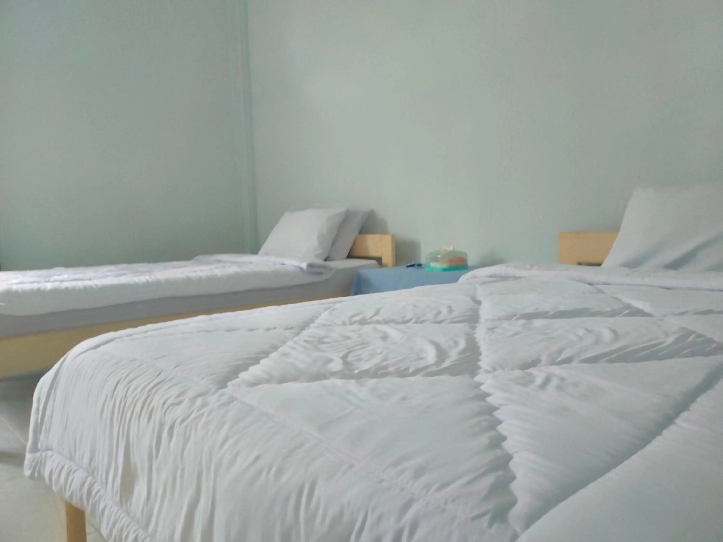 Bed in Tangkoko Guest House