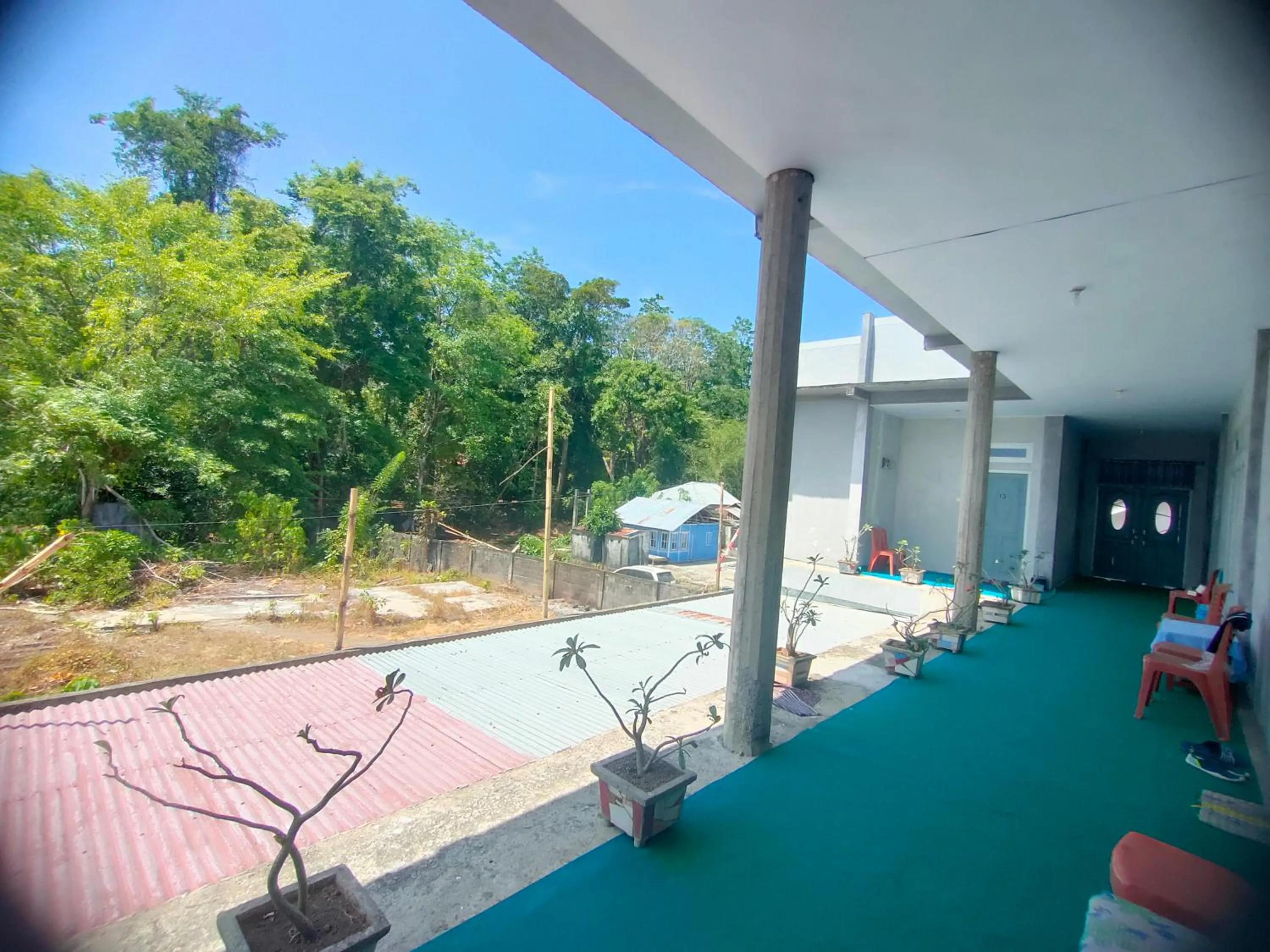 Day in Tangkoko Guest House