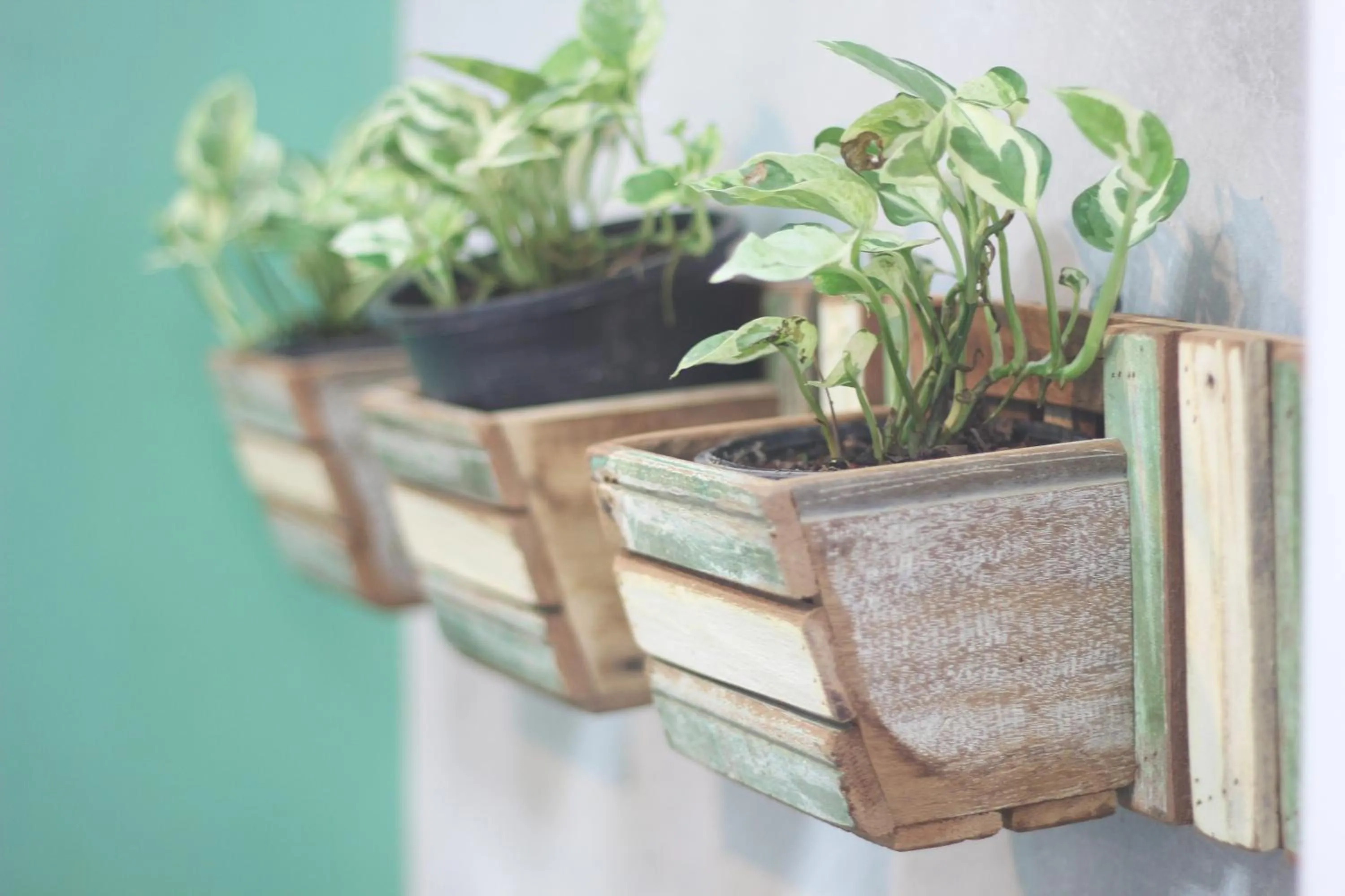 Decorative detail in Just Fine Krabi