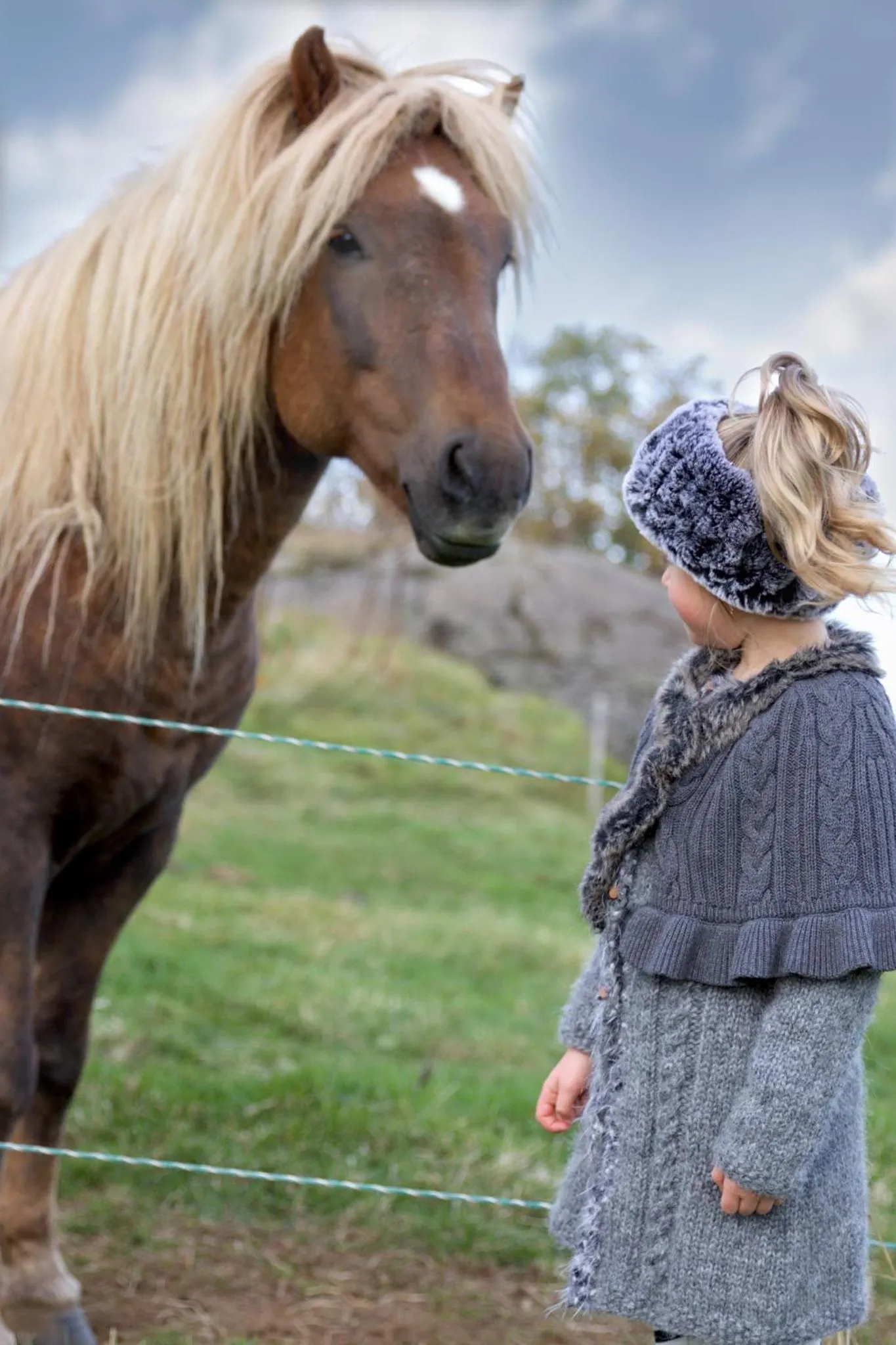 Activities in Gistihúsið - Lake Hotel Egilsstadir