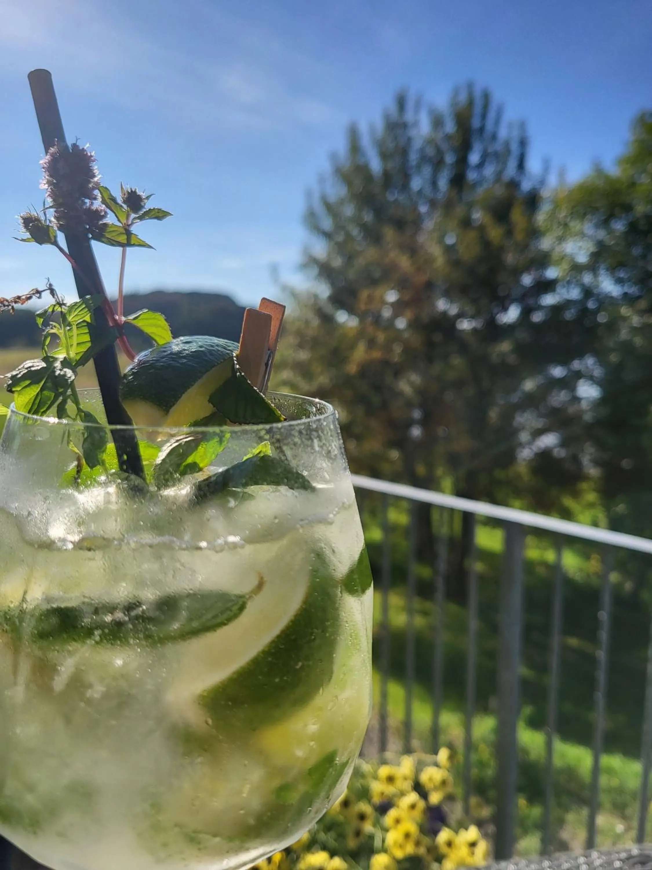 Restaurant/places to eat in Gistihúsið - Lake Hotel Egilsstadir