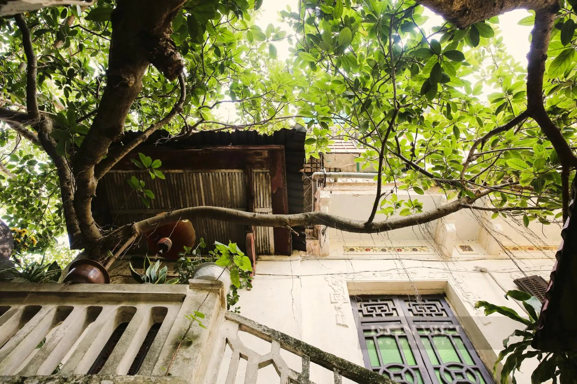 Property building in Free Airport Service Deals w Singita Classy Boutique Hotel & Travel