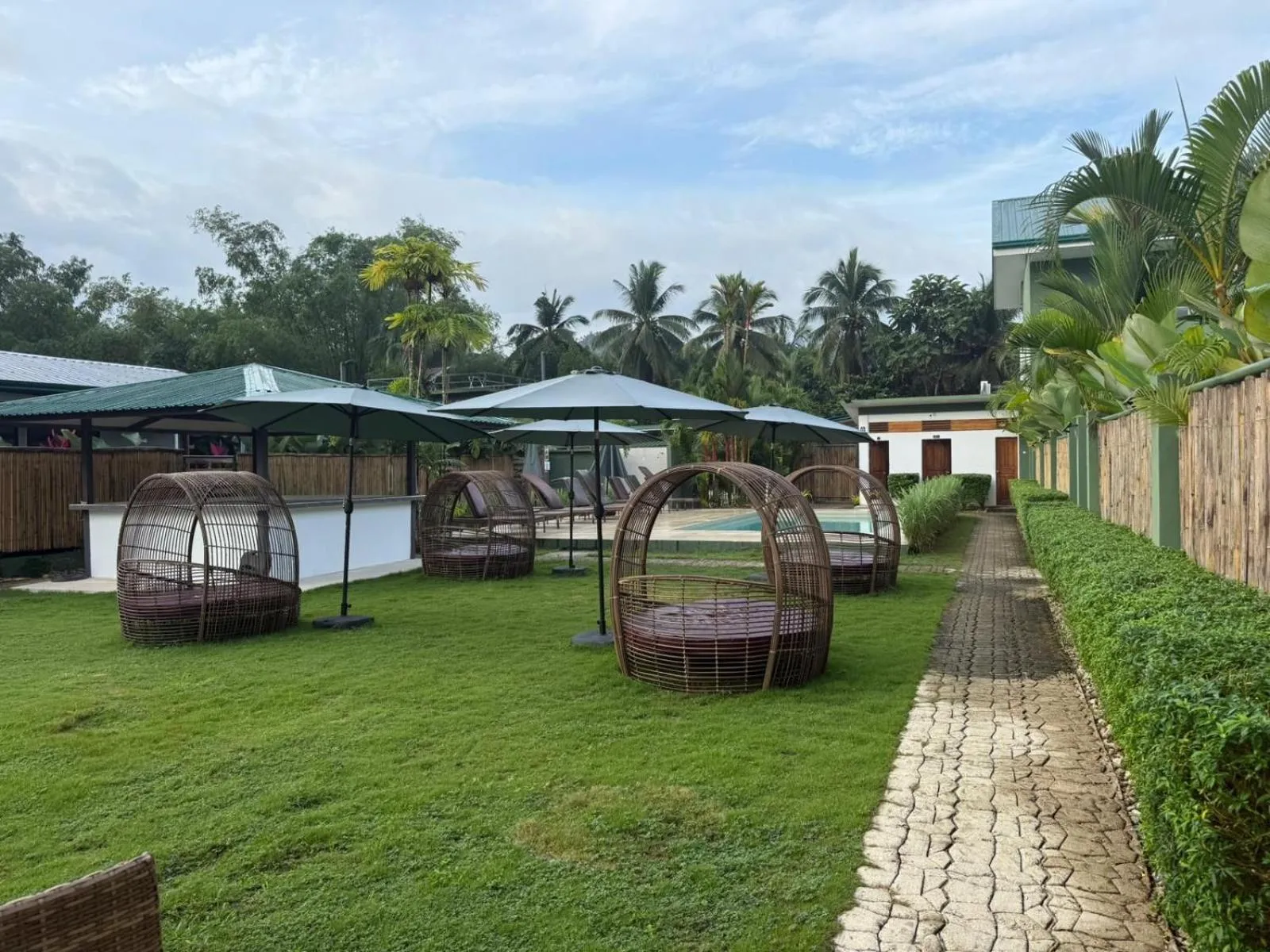 Garden in ROYAL SUITES - PORT BARTON