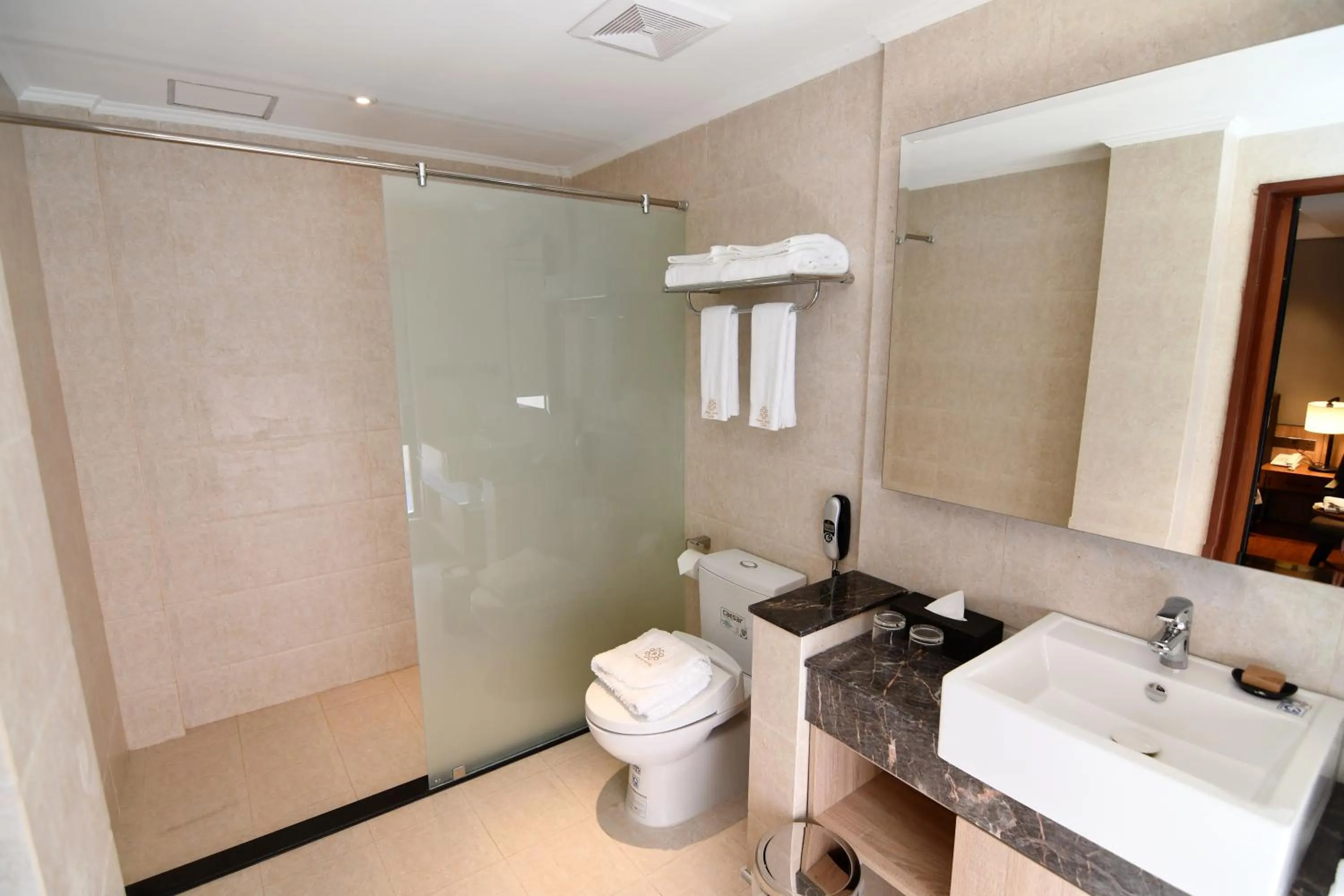 Toilet in Prince Hotel