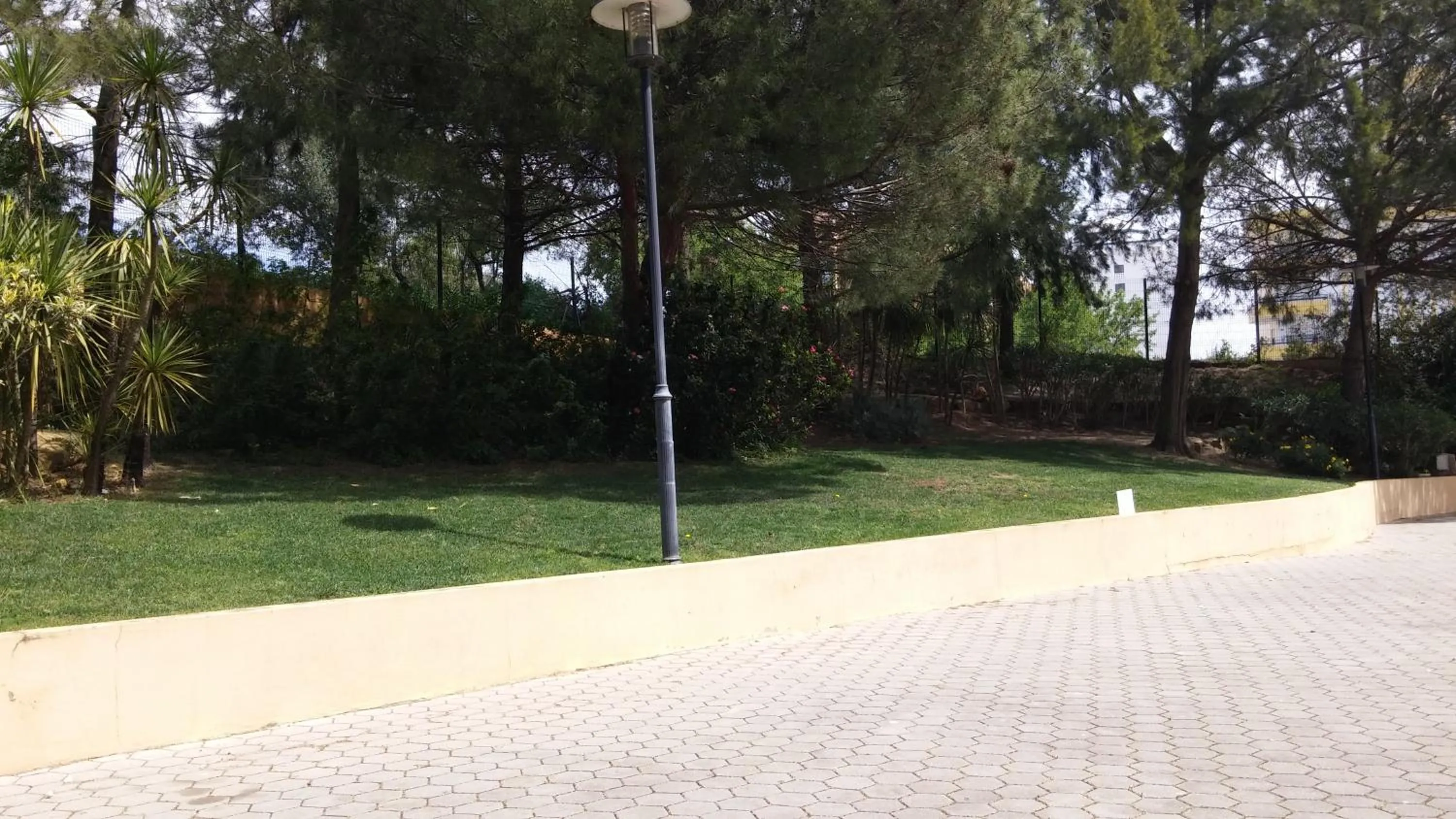 Garden in Primavera Sun