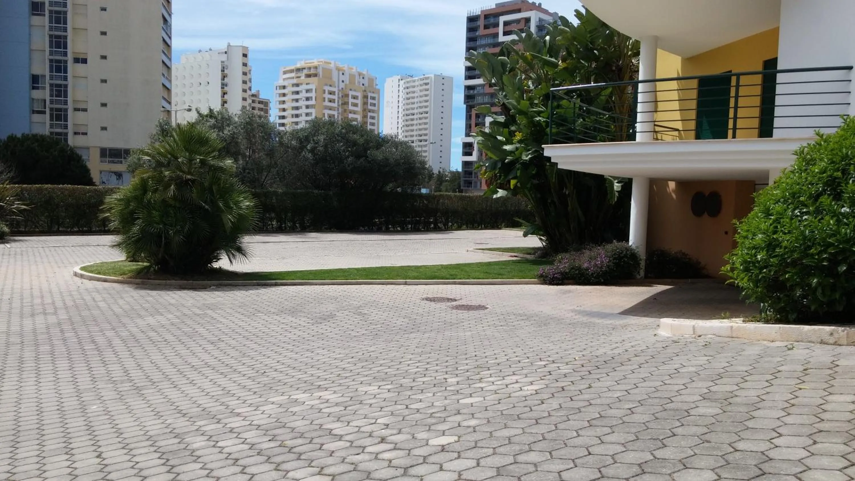 Garden in Primavera Sun