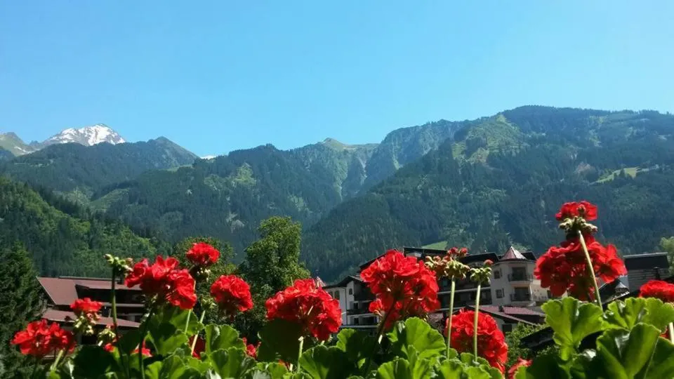 Mountain view in Landhaus Alpenrose