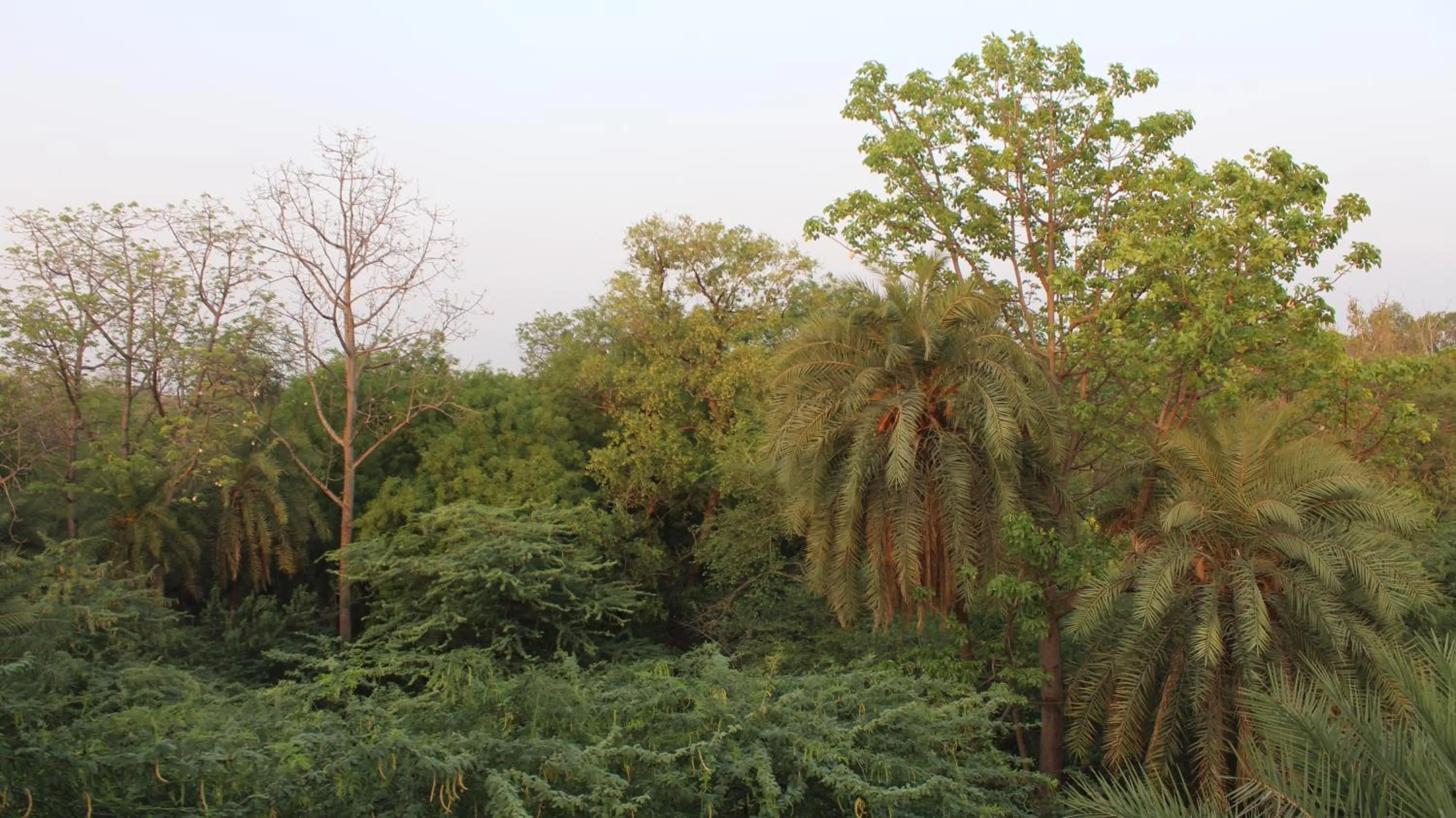 Spring in Su- Koon Homestay