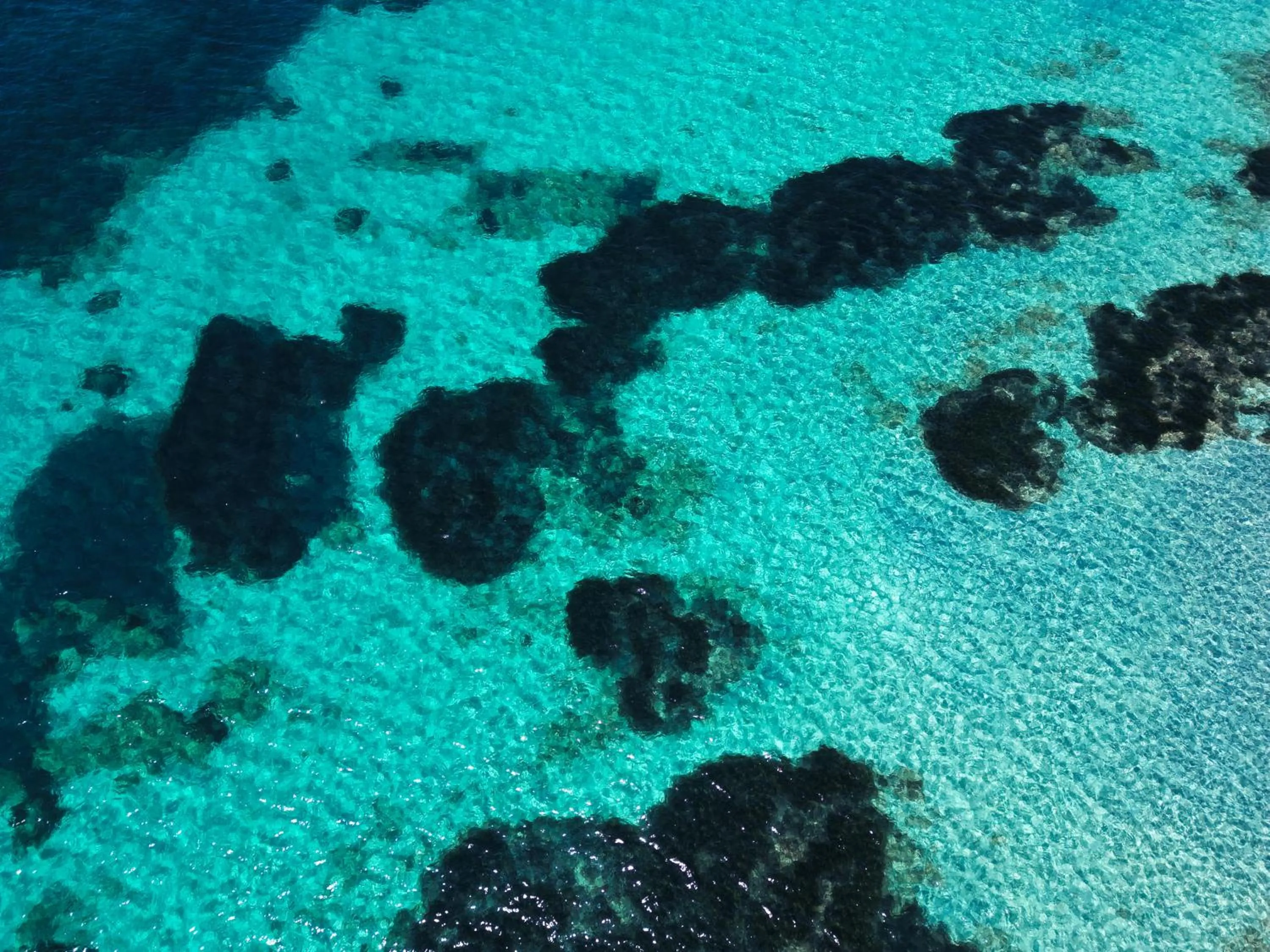 Natural landscape in Hotel dP Olbia - Sardinia