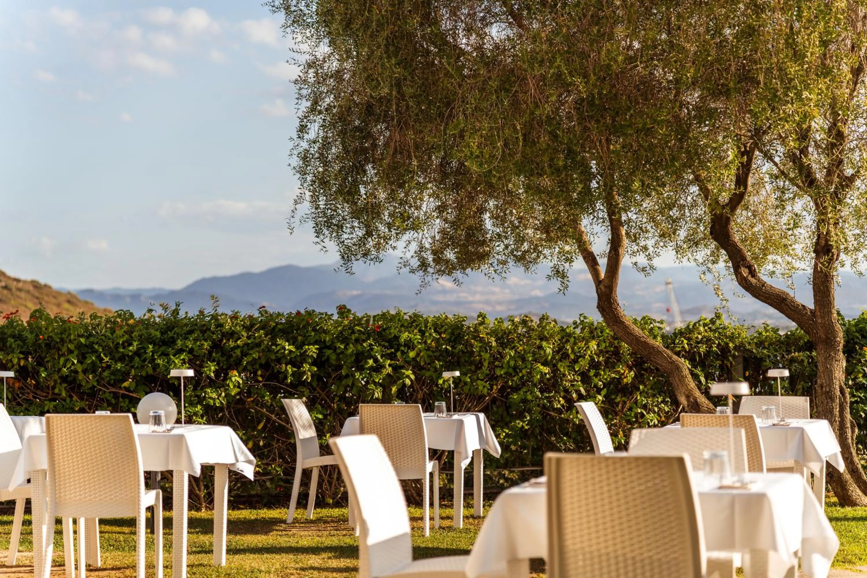 Restaurant/places to eat in Hotel dP Olbia - Sardinia