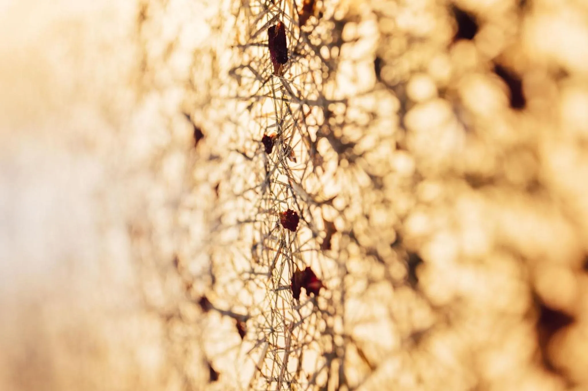 Decorative detail in Hotel Lisl - Alpine Comfort
