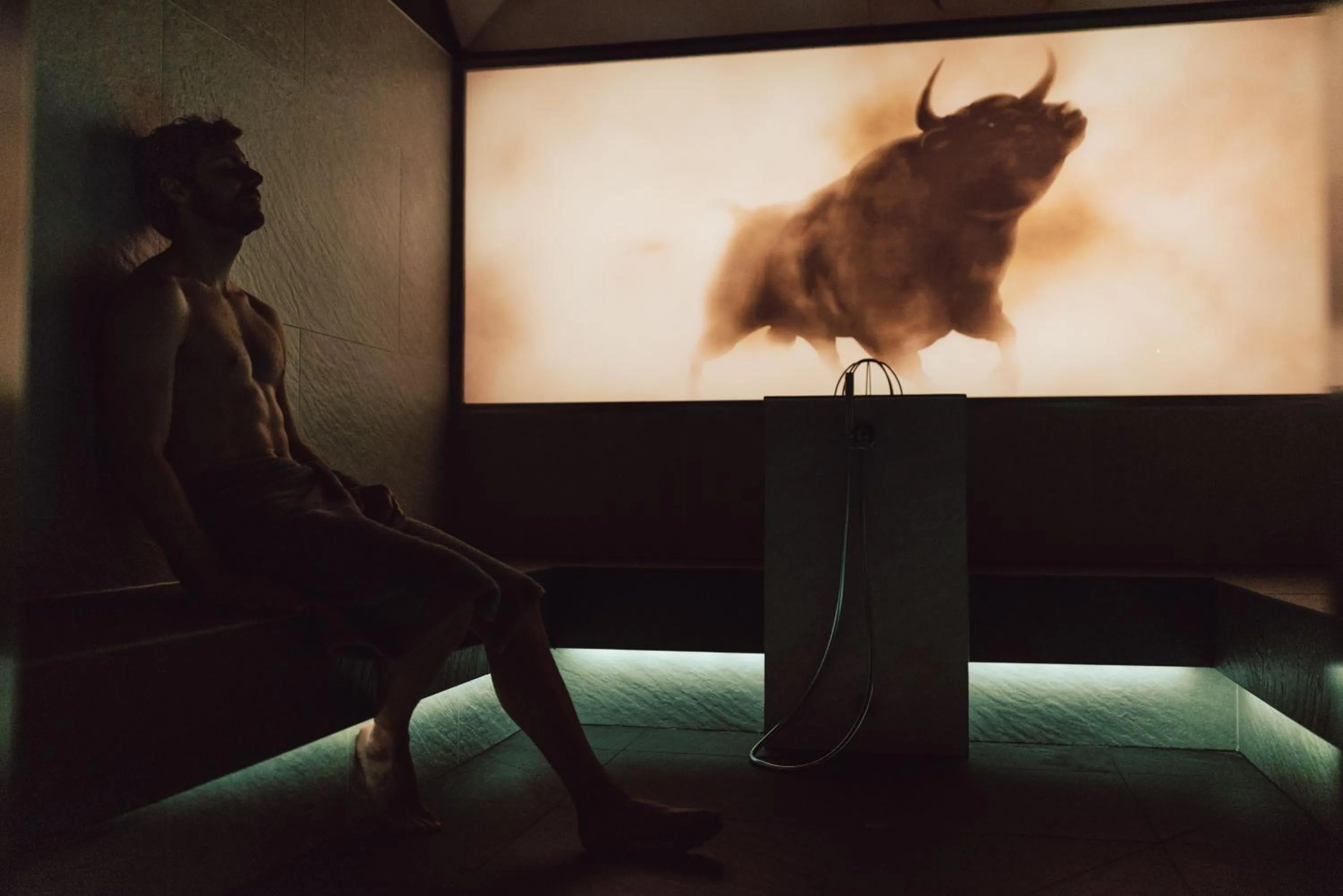 Steam room in Hotel Lisl - Alpine Comfort