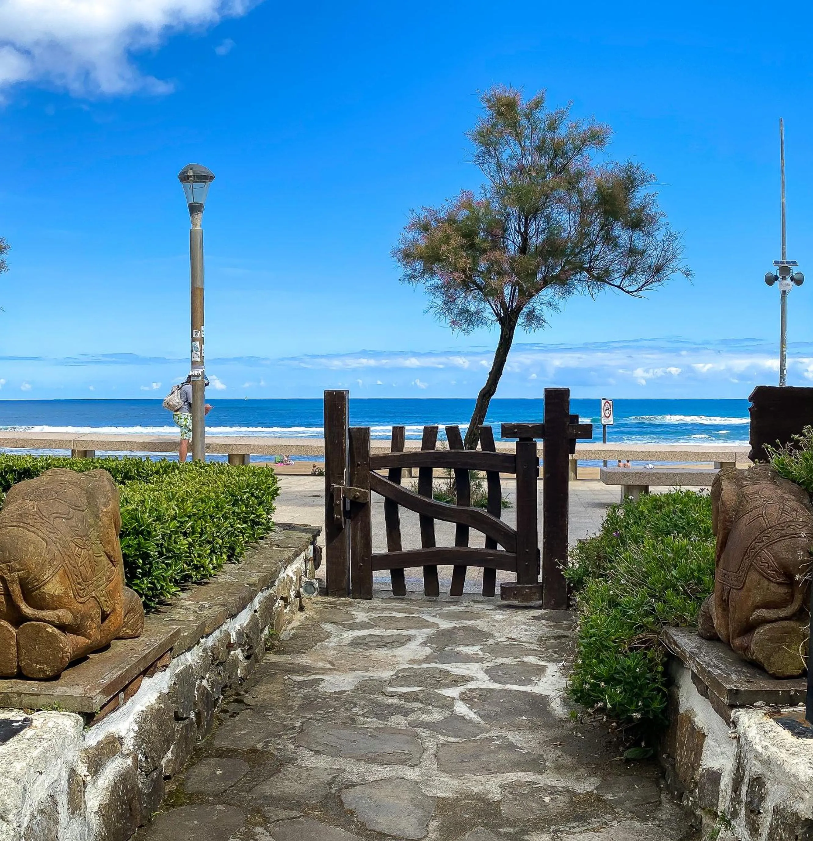 Garden in Hotel Arimune