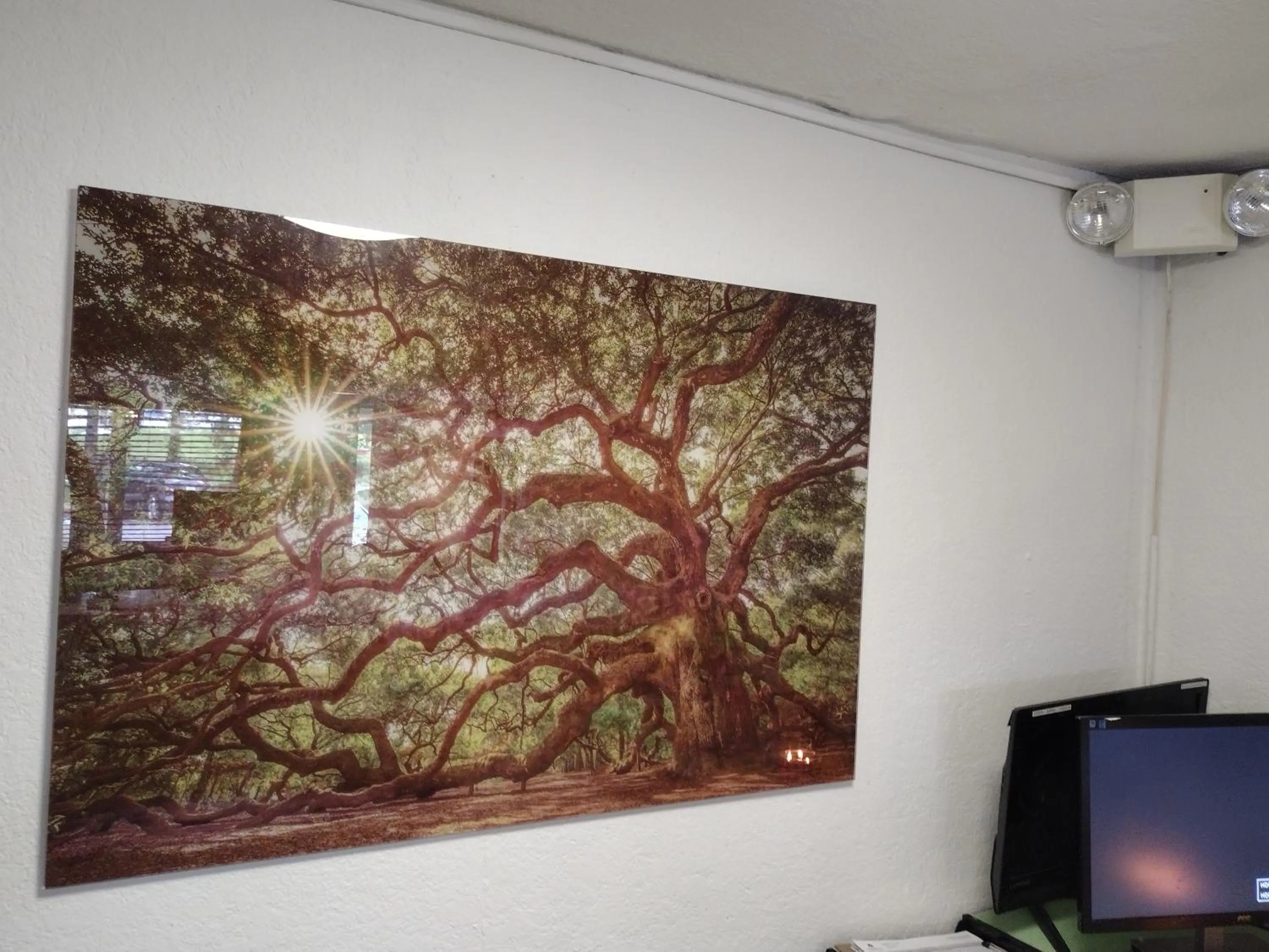 Lobby or reception in FairBridge Inn & Suites Richmond Hill