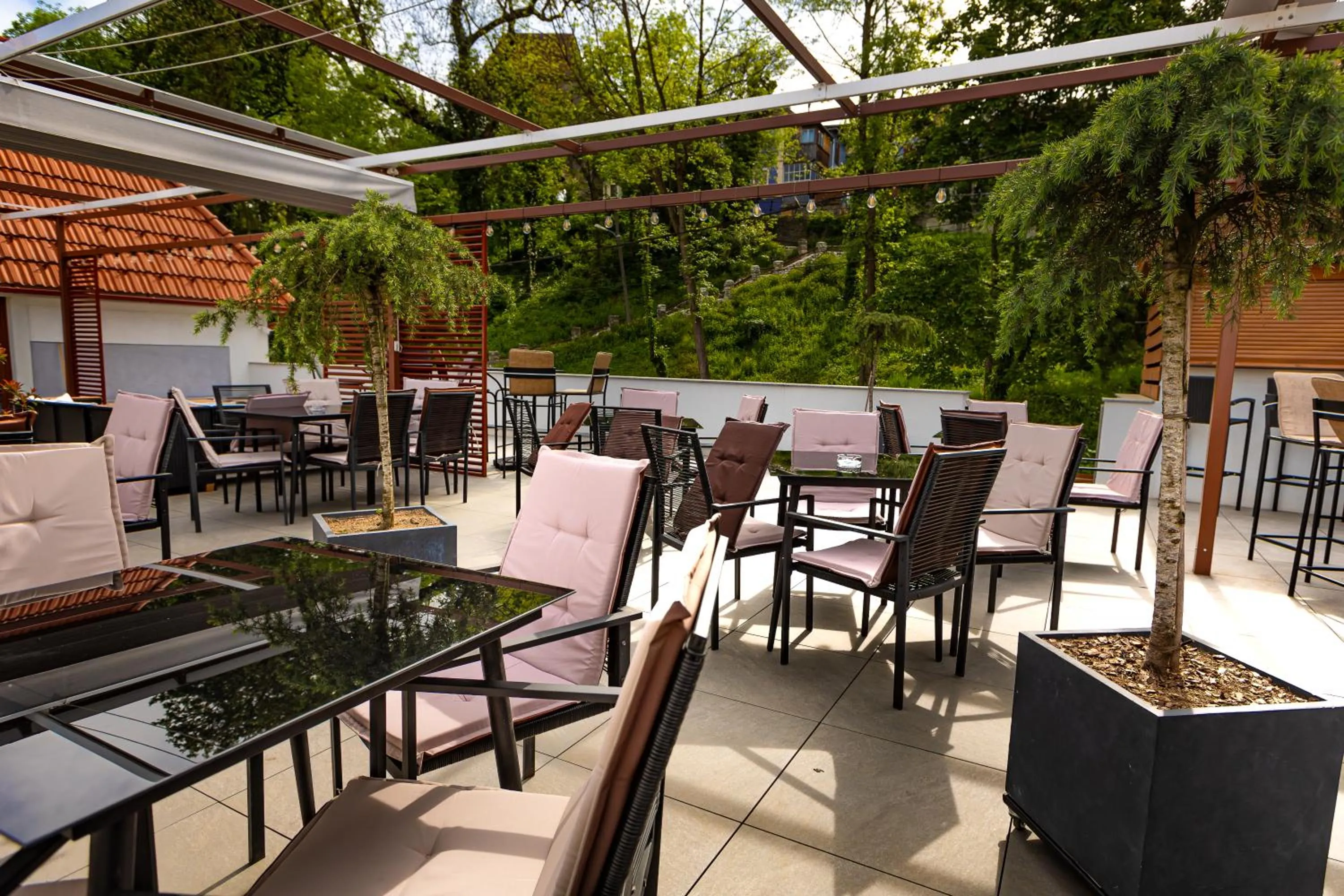 Balcony/Terrace in Wanderer Sighisoara