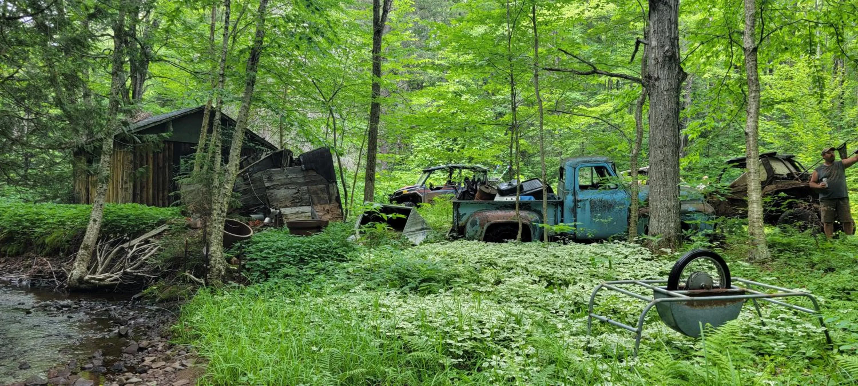 Natural landscape in Snow Chasers Lodge