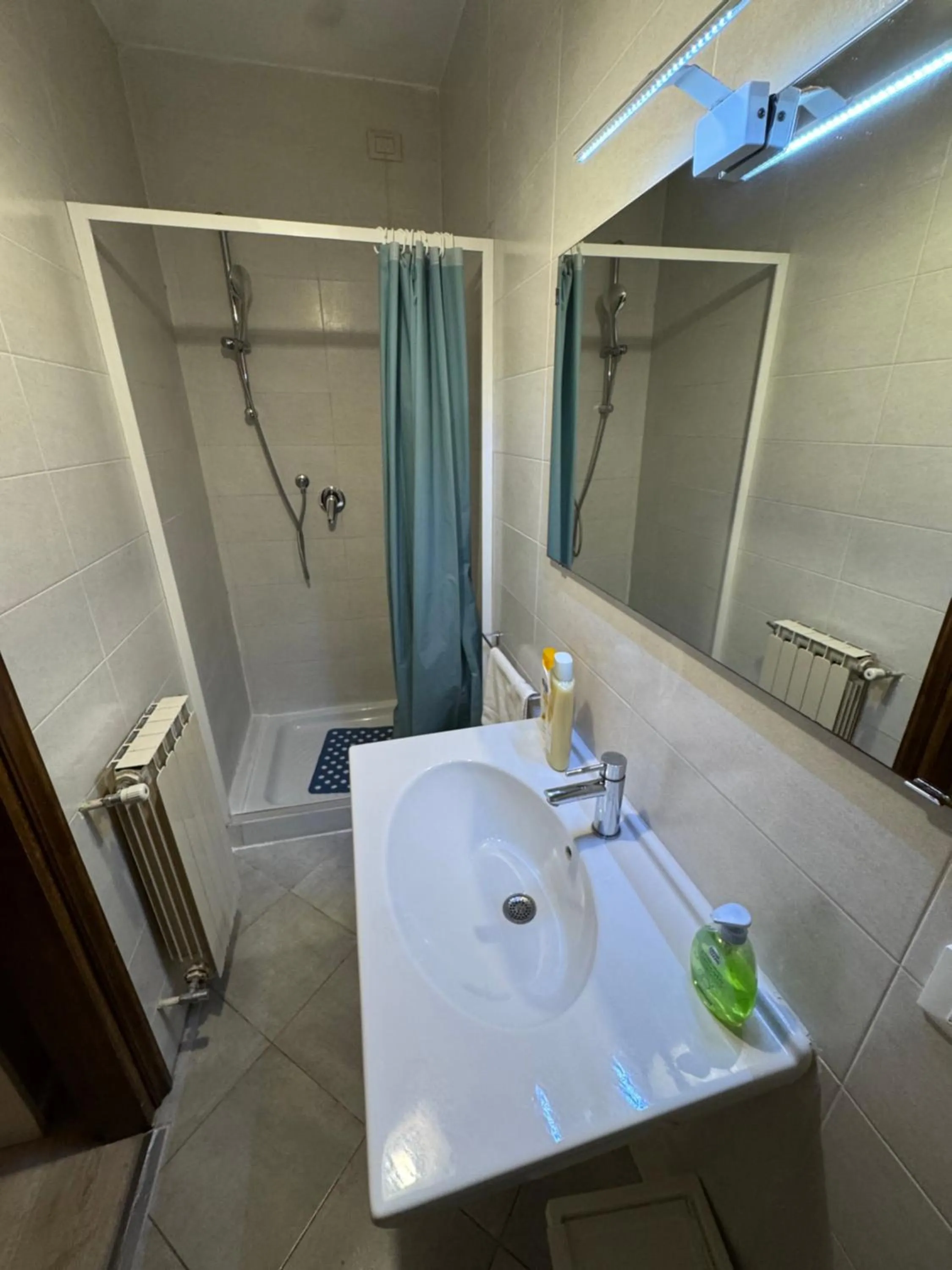 Shower in Harry's Canal View