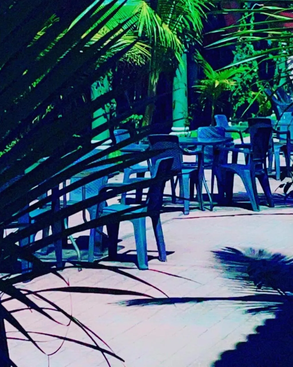 Patio in Sambo Mambo Beach Hotel