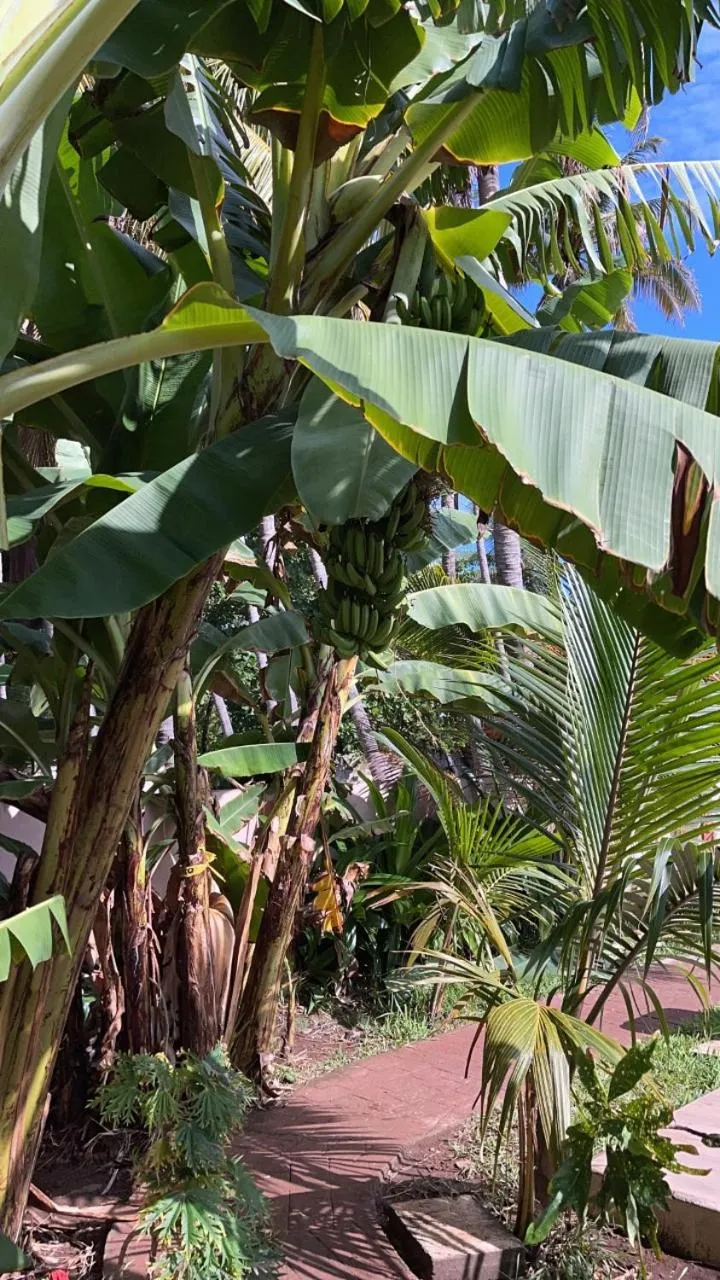 Property building in Sambo Mambo Beach Hotel