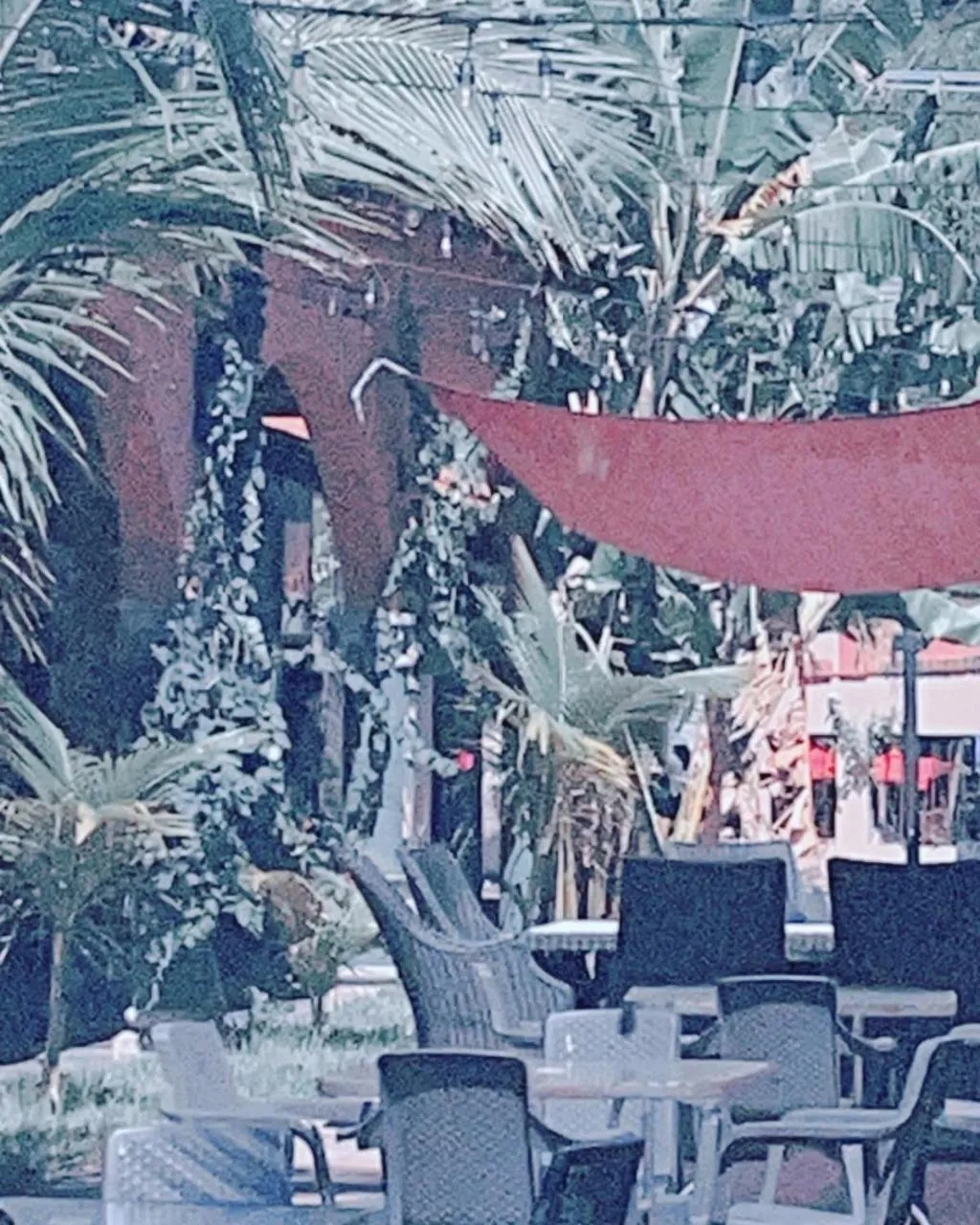 Patio in Sambo Mambo Beach Hotel