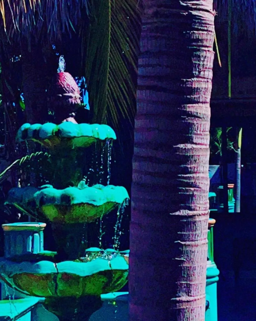 Entertainment in Sambo Mambo Beach Hotel