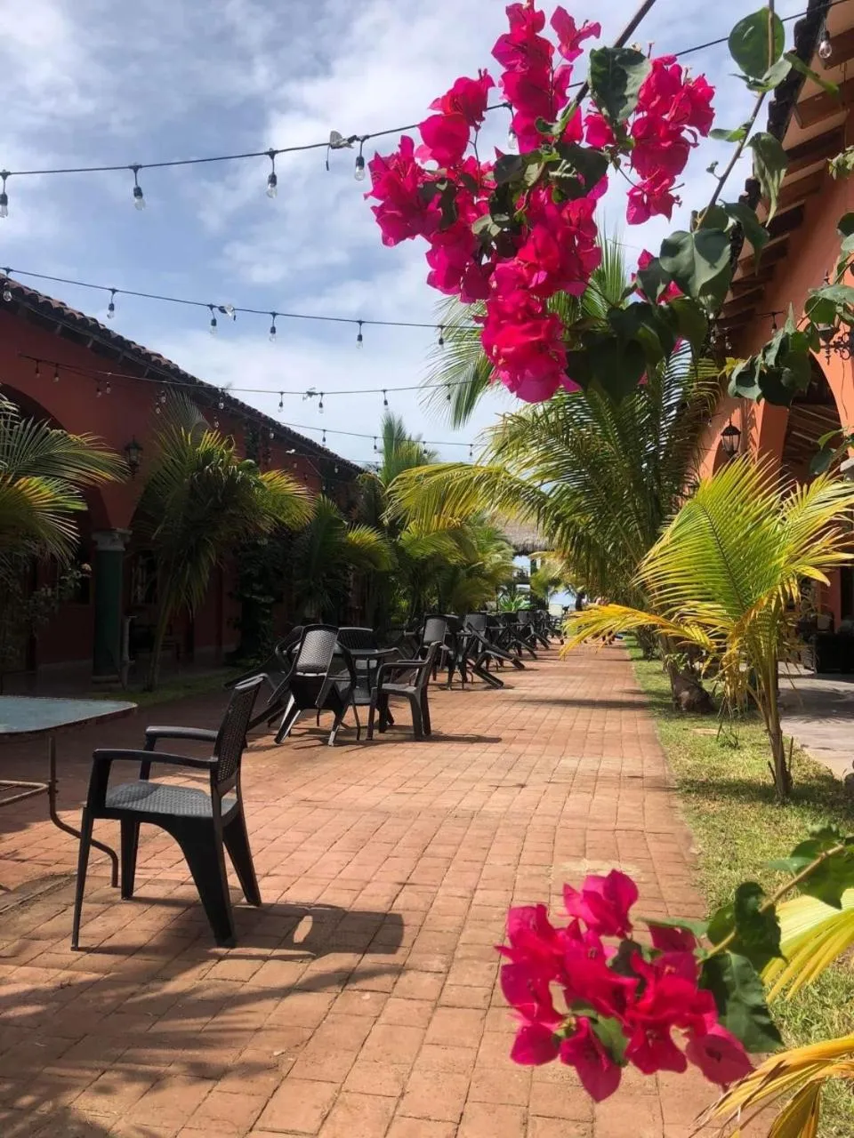 Property building in Sambo Mambo Beach Hotel