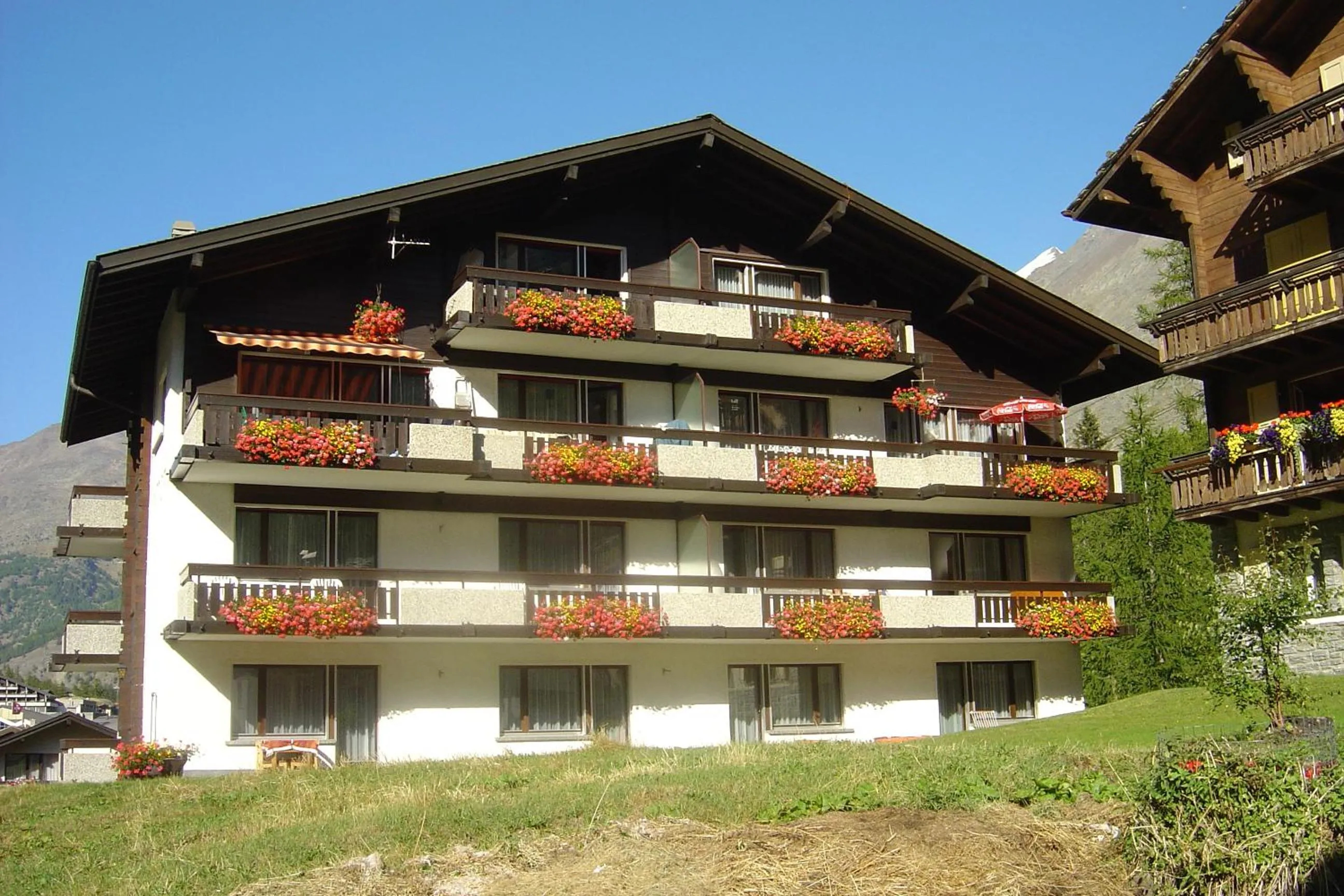 Facade/entrance in Haus Amor