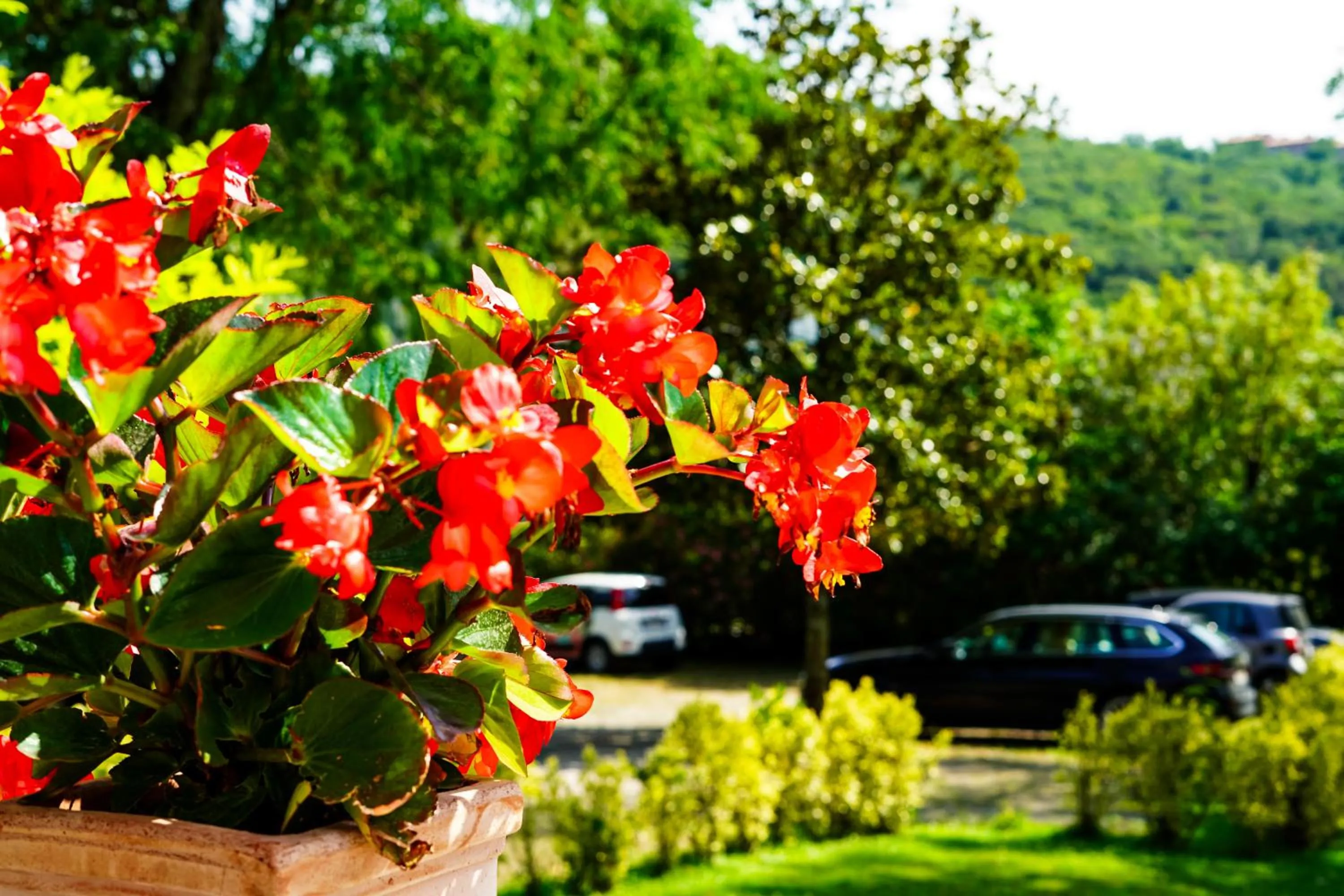 Parking in Residence Villa Bottacin
