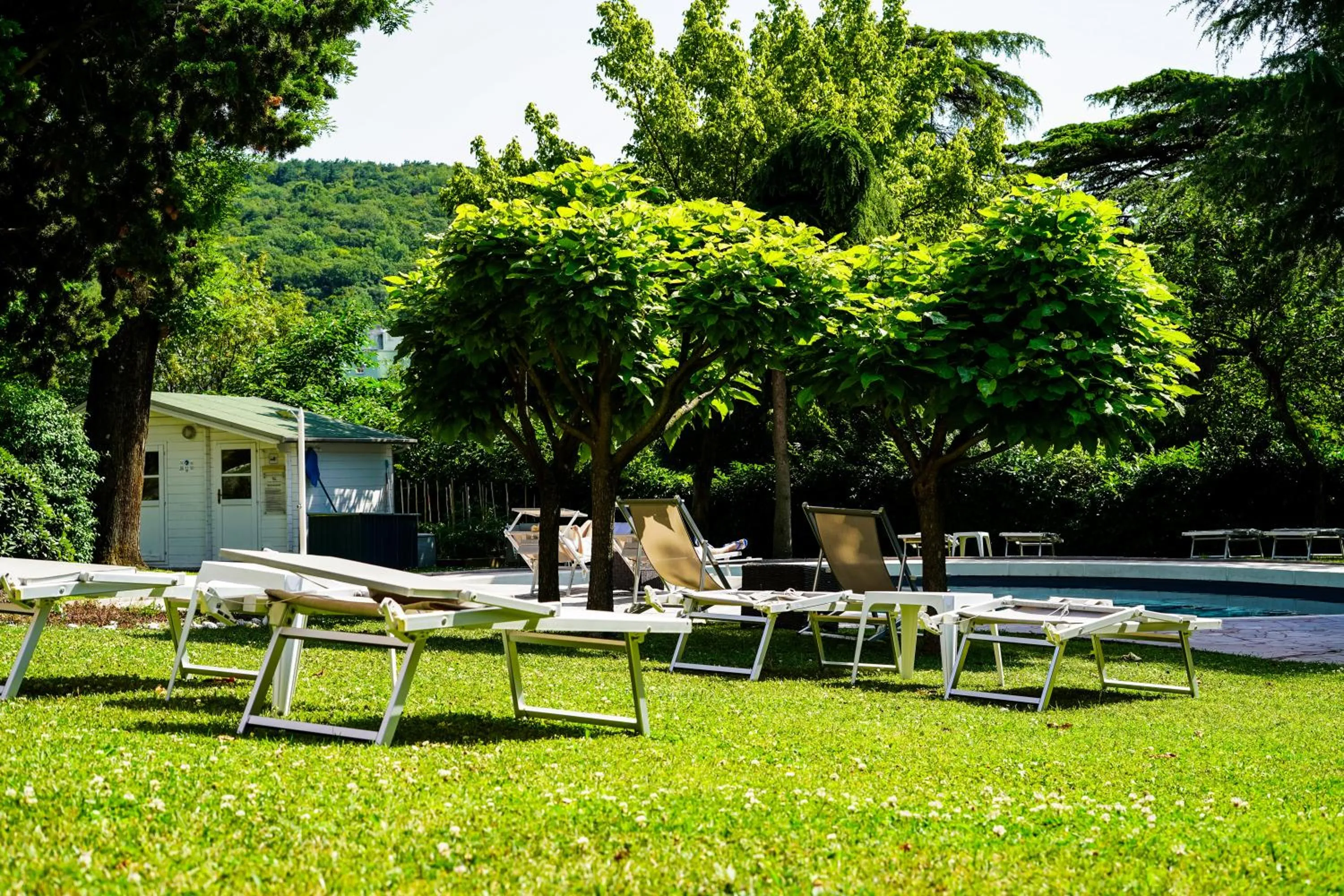 Swimming pool in Residence Villa Bottacin