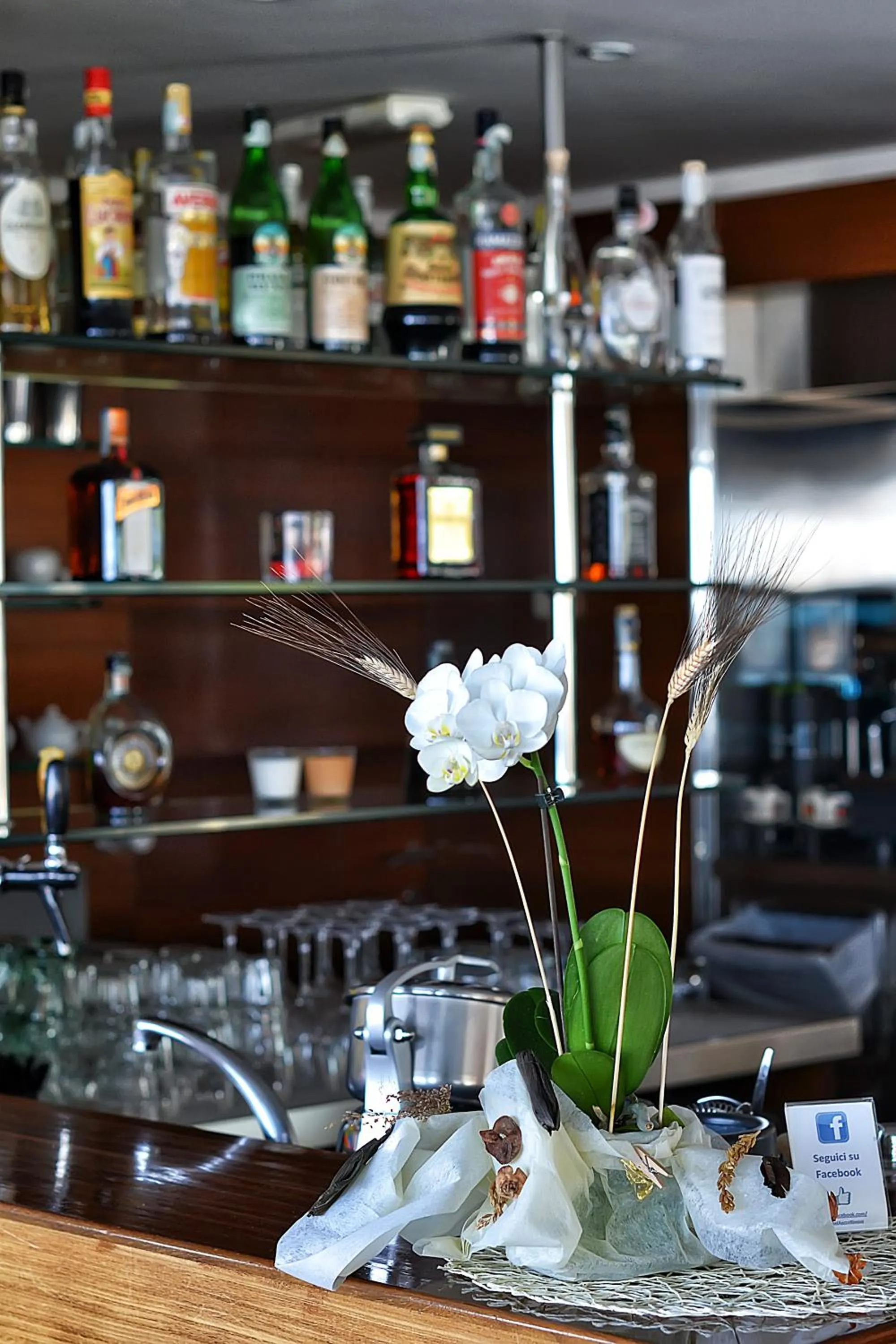 Lounge or bar in Hotel Ascot & Spa