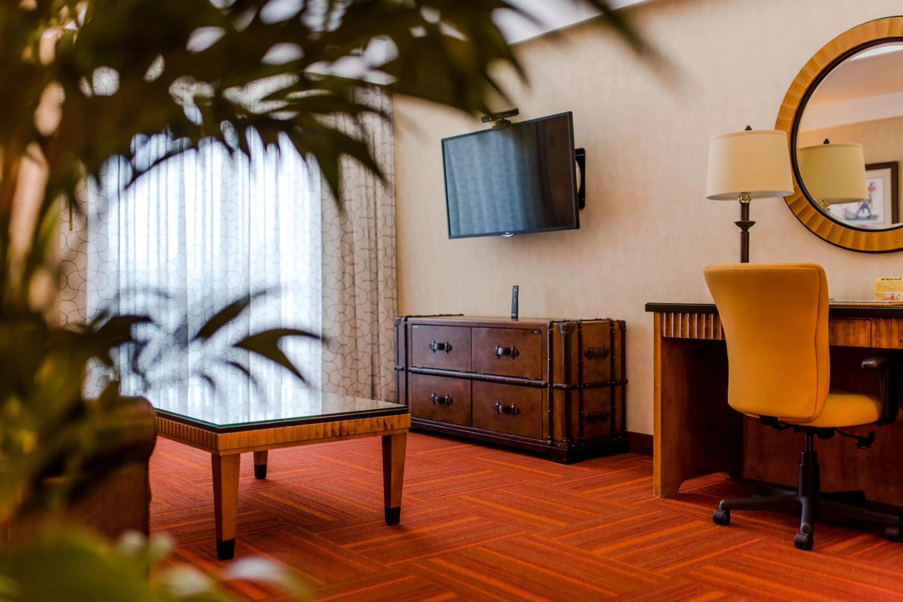 TV and multimedia in Howard Johnson by Wyndham Anaheim Hotel & Water Playground