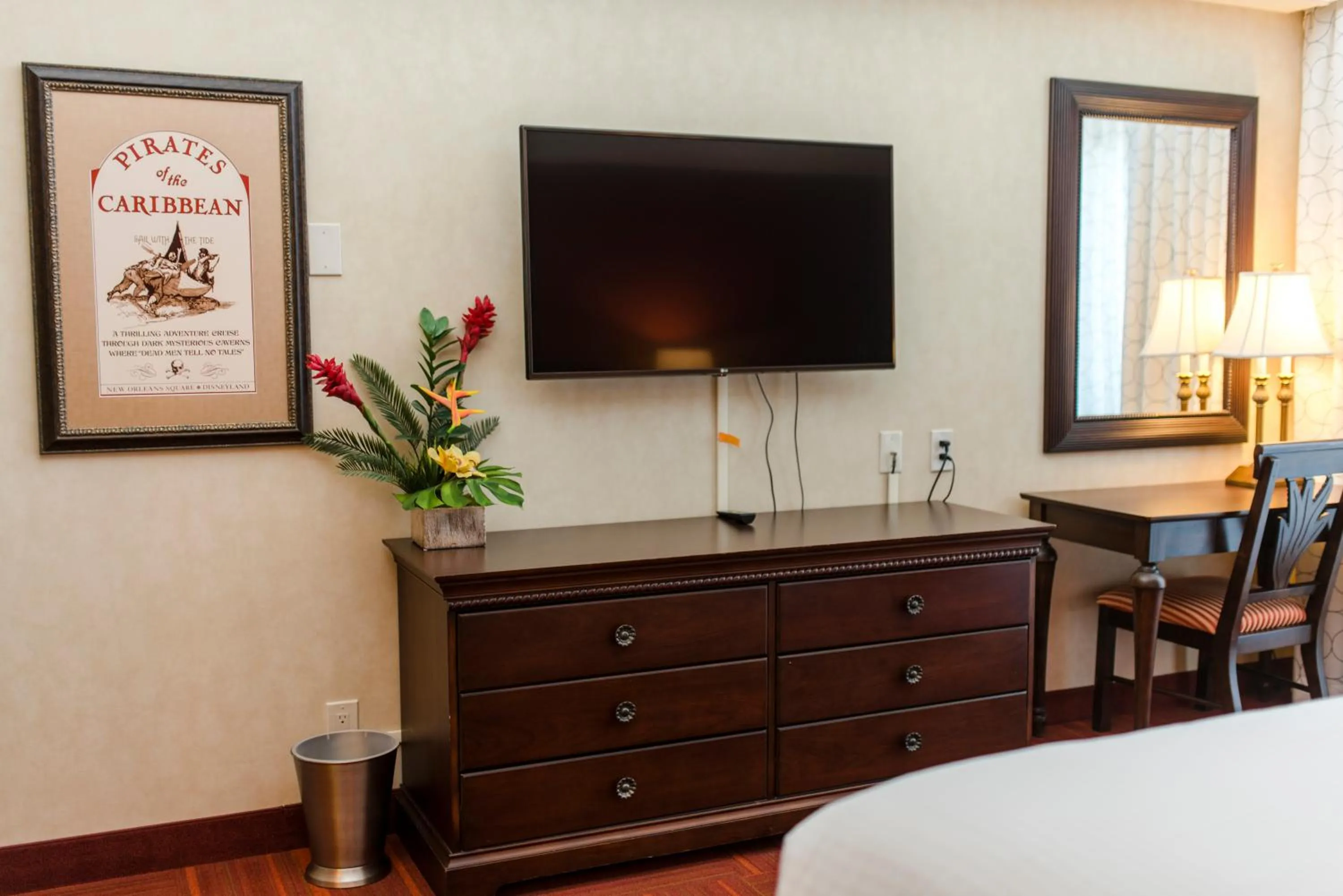 TV and multimedia in Howard Johnson by Wyndham Anaheim Hotel & Water Playground