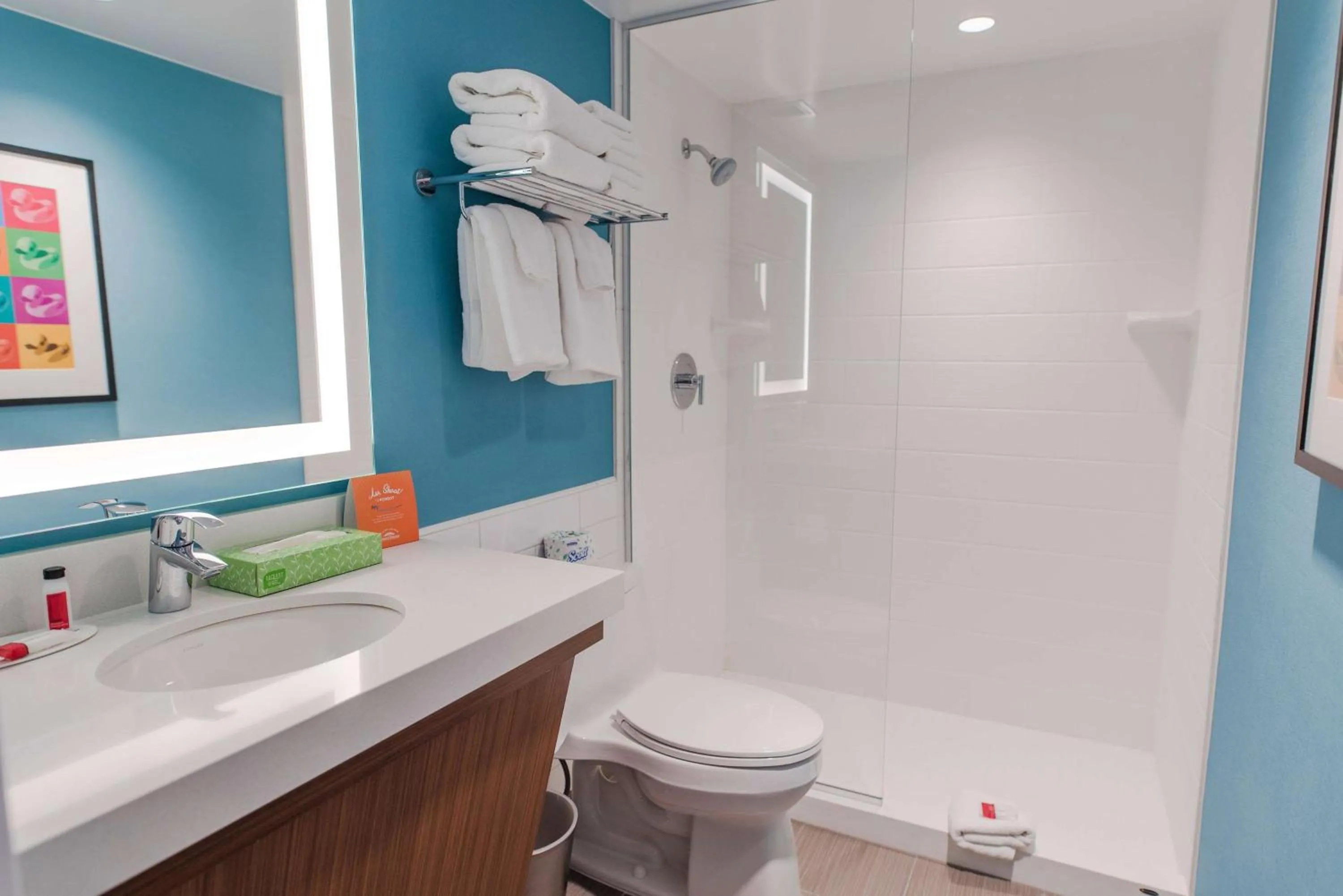 Bathroom in Howard Johnson by Wyndham Anaheim Hotel & Water Playground