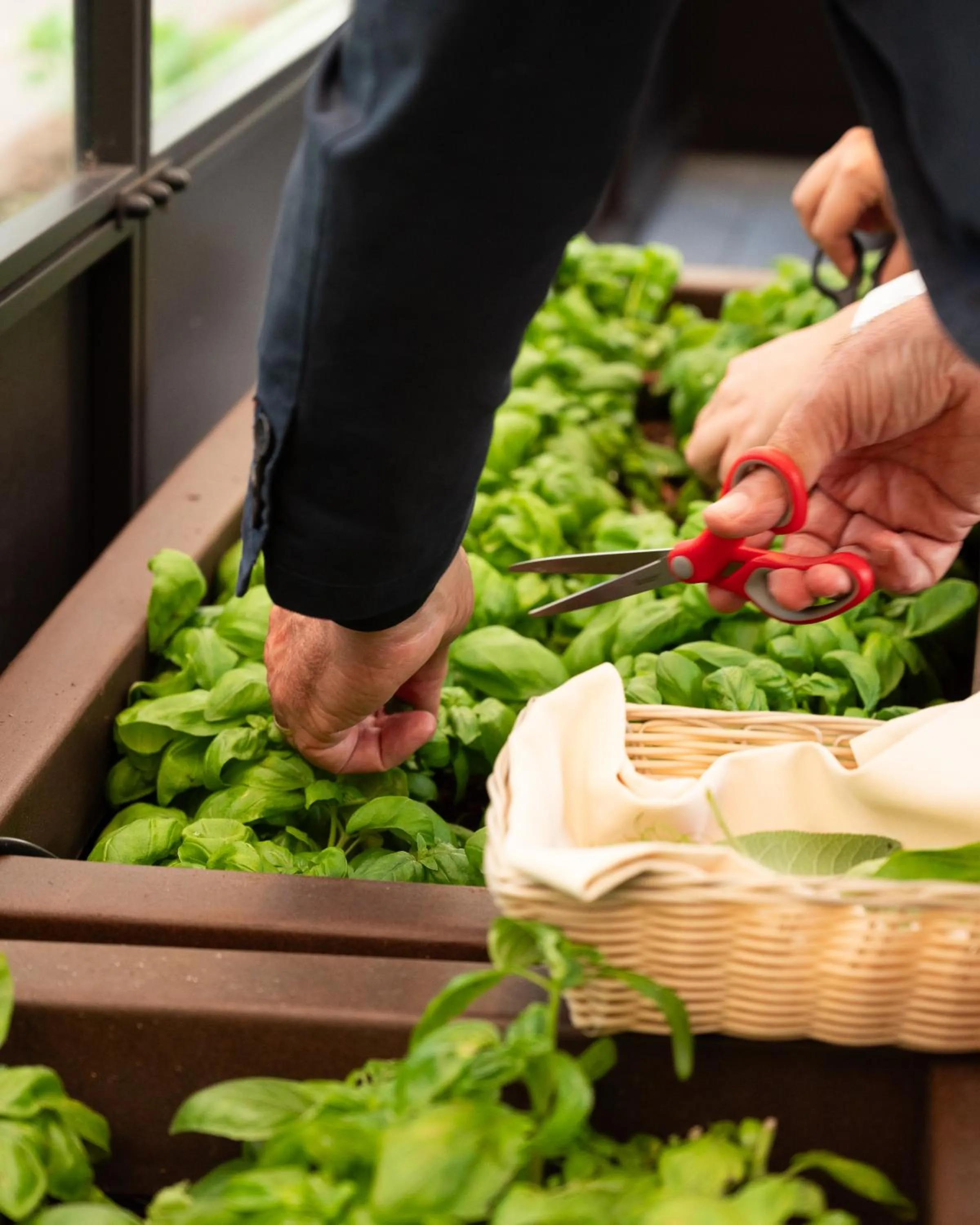 Food and drinks in Hilton Milan