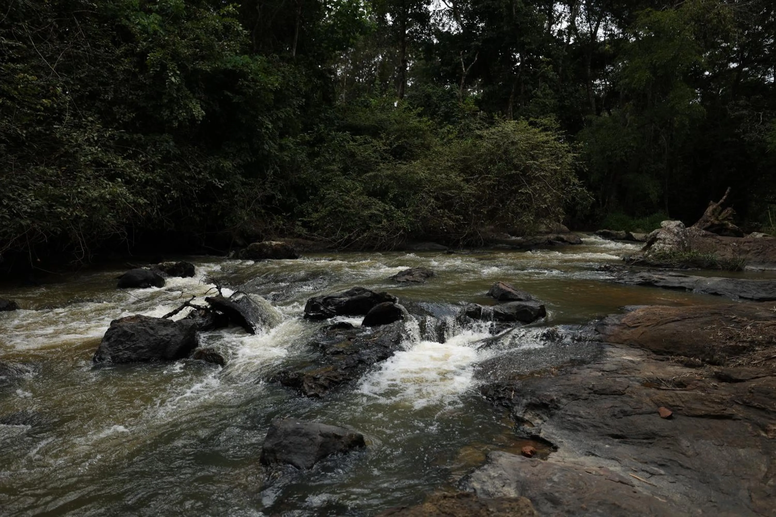 Natural landscape in Avadale Coorg - Stag Groups Not Allowed