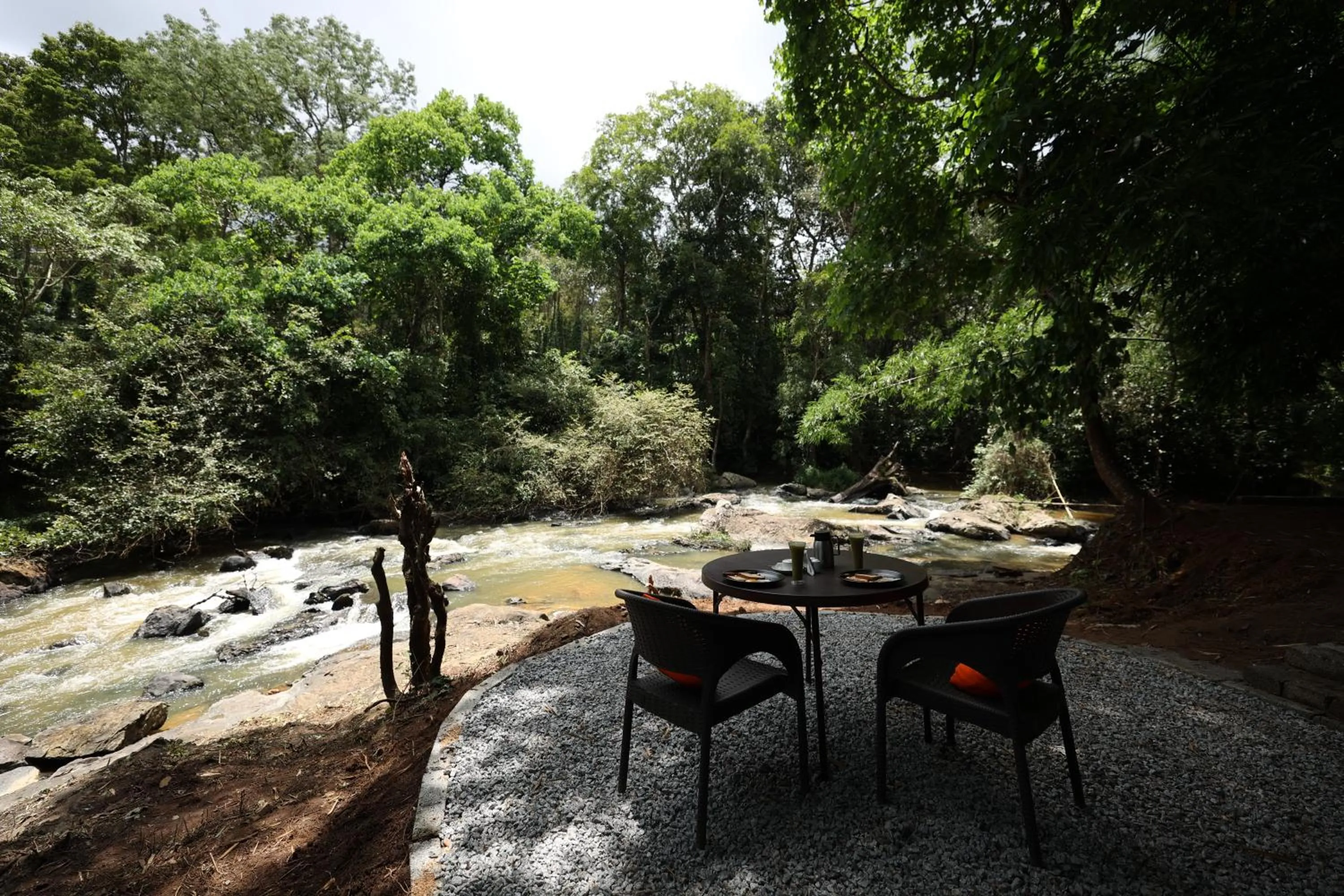 Natural landscape in Avadale Coorg - Stag Groups Not Allowed