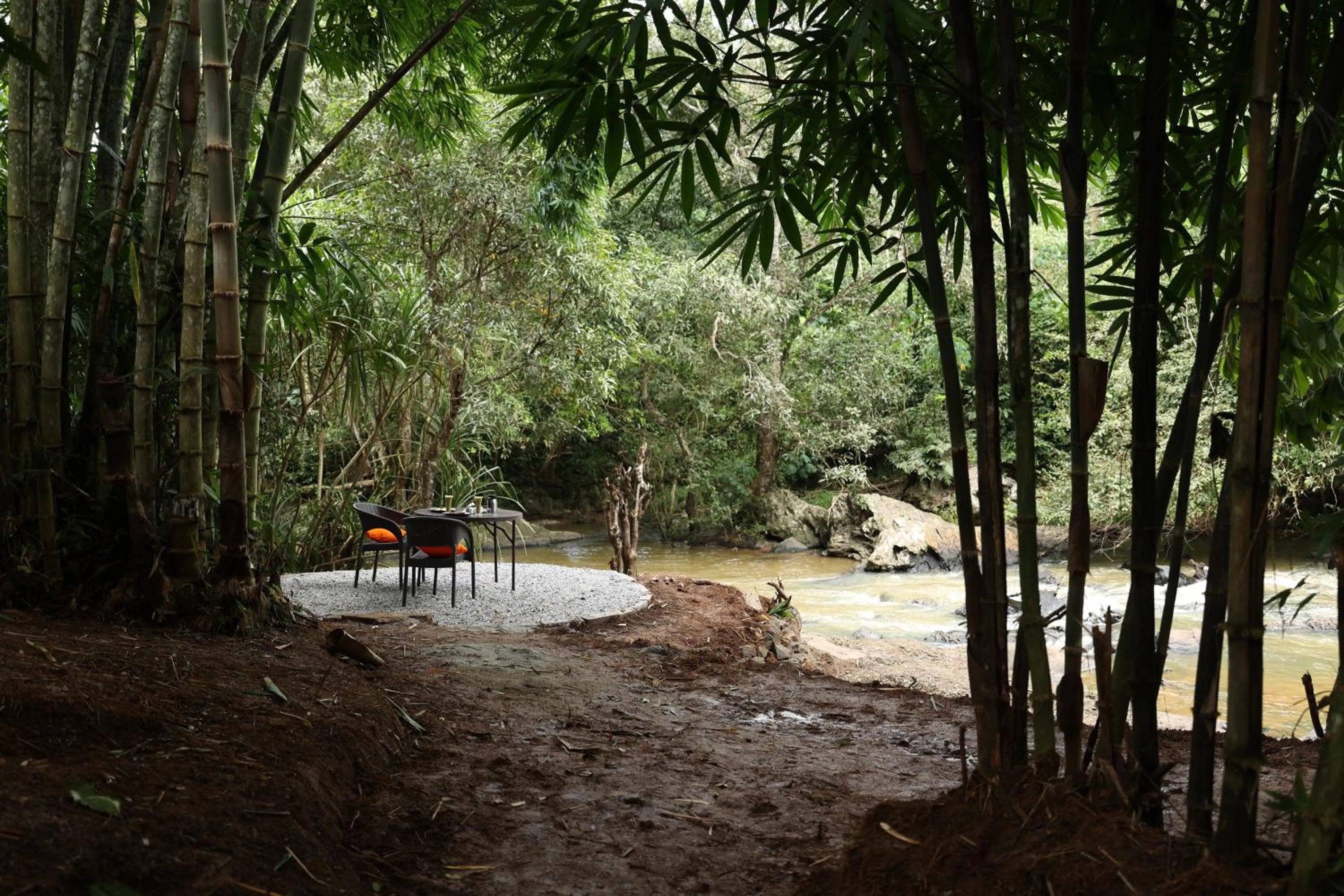 Natural landscape in Avadale Coorg - Stag Groups Not Allowed