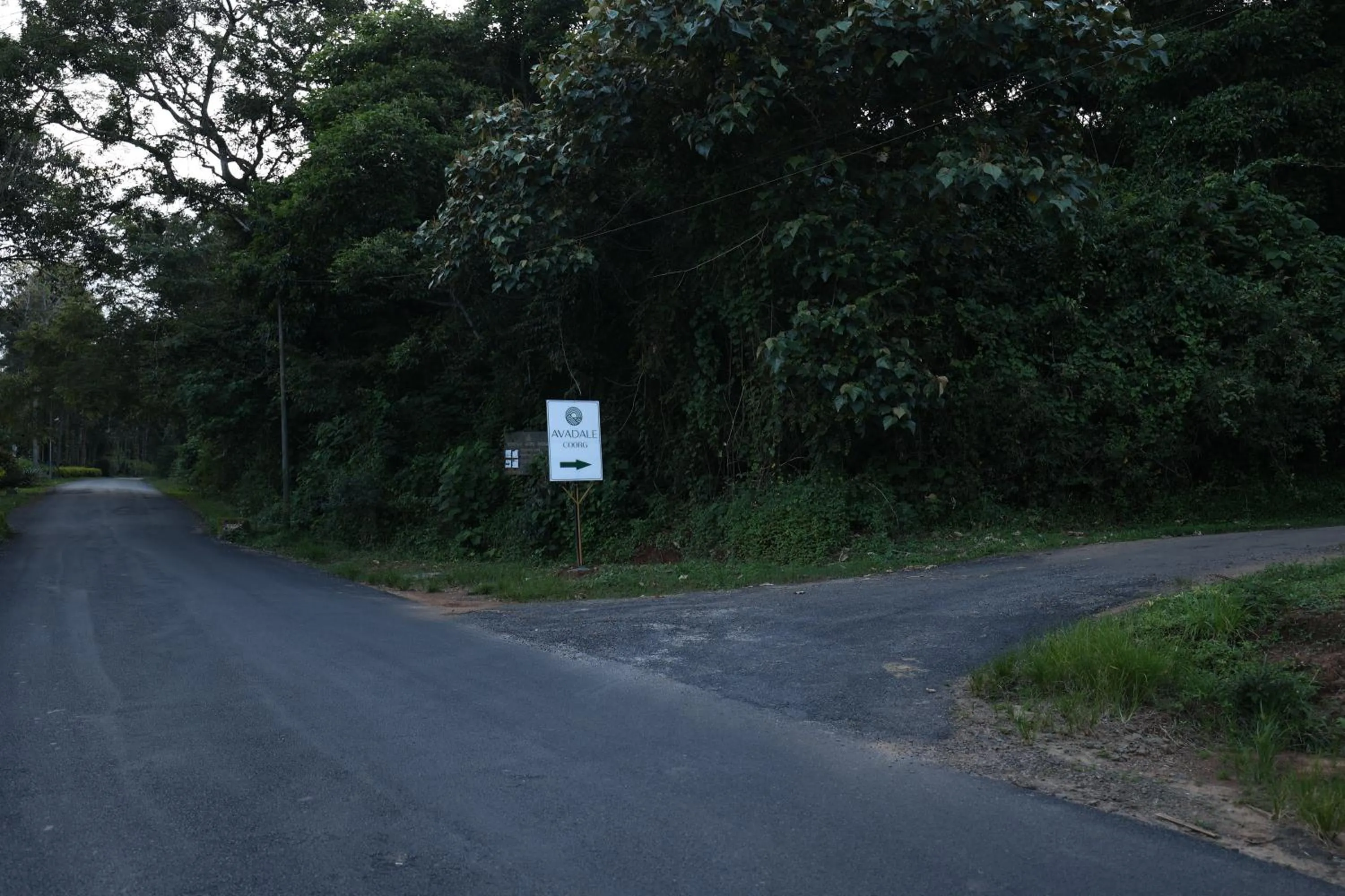 Street view in Avadale Coorg - Stag Groups Not Allowed