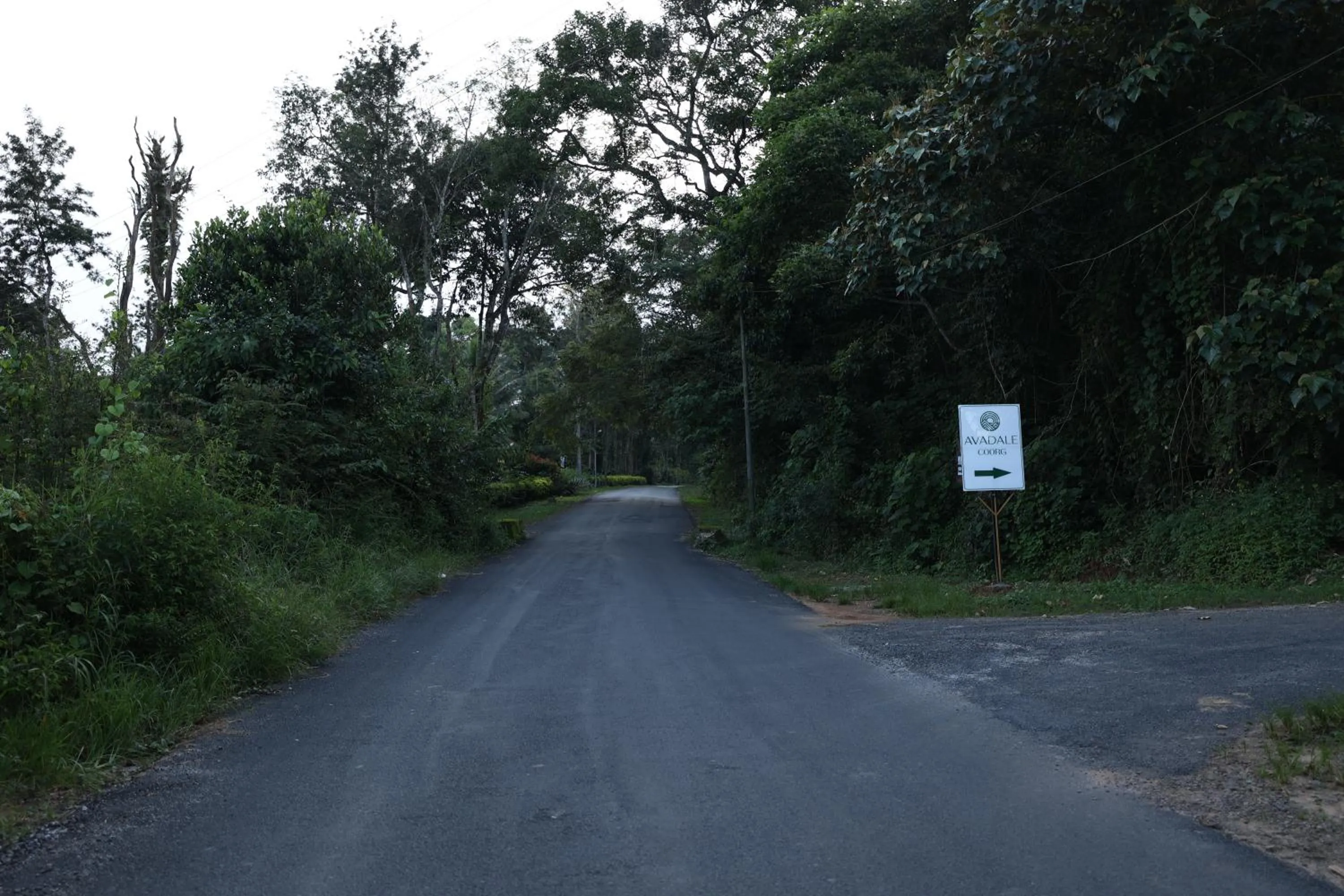 Street view in Avadale Coorg - Stag Groups Not Allowed