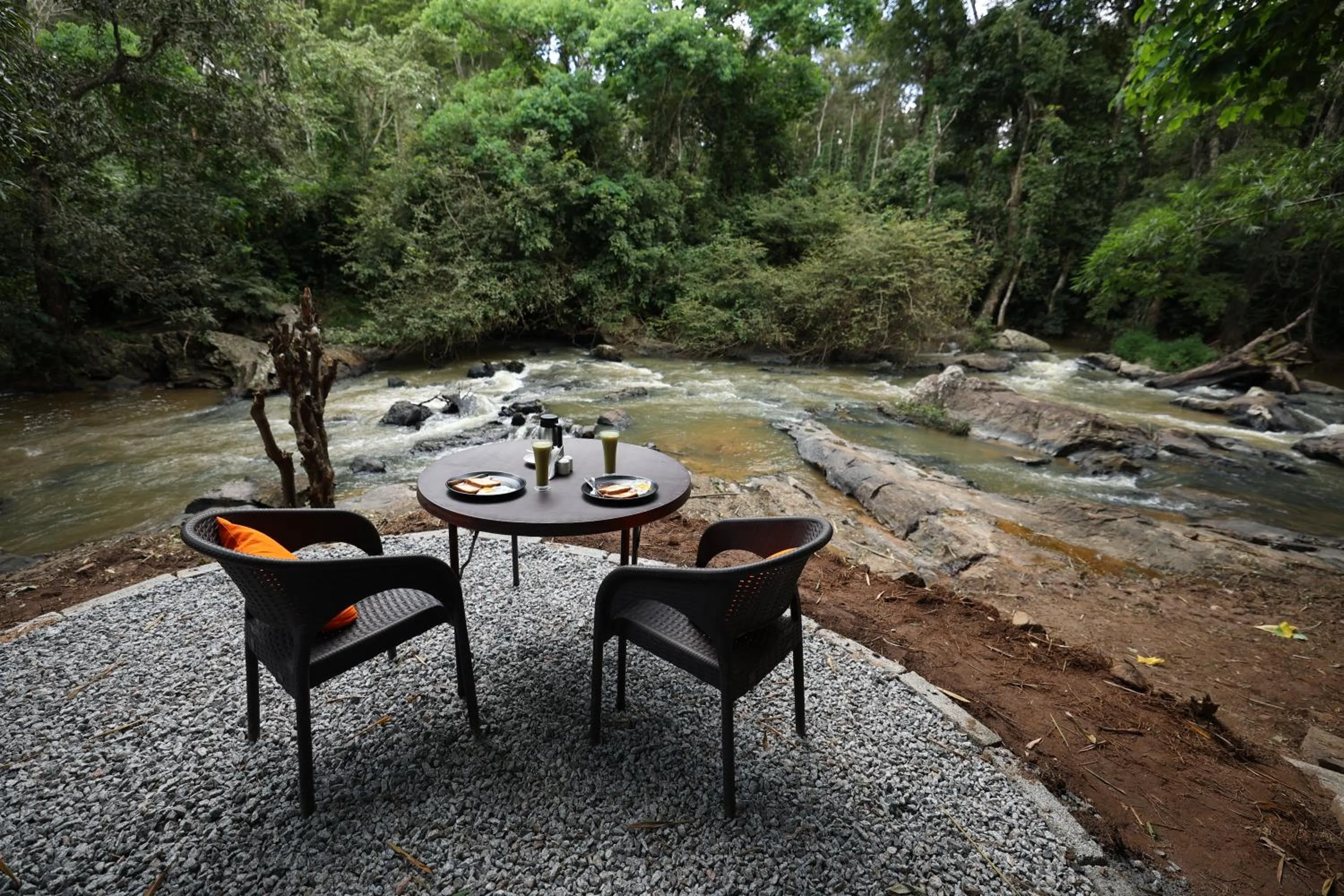 Natural landscape in Avadale Coorg - Stag Groups Not Allowed