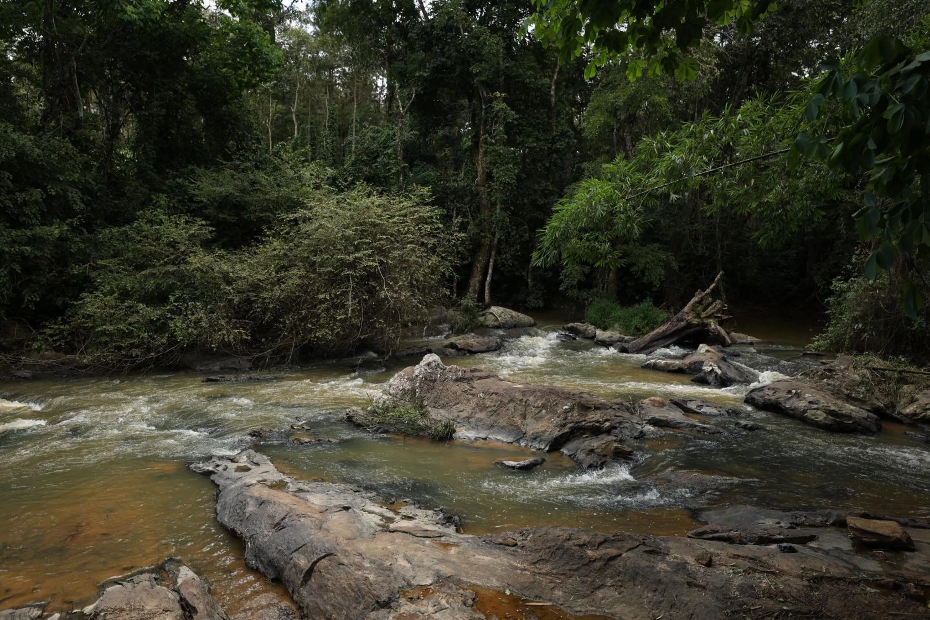 Natural landscape in Avadale Coorg - Stag Groups Not Allowed