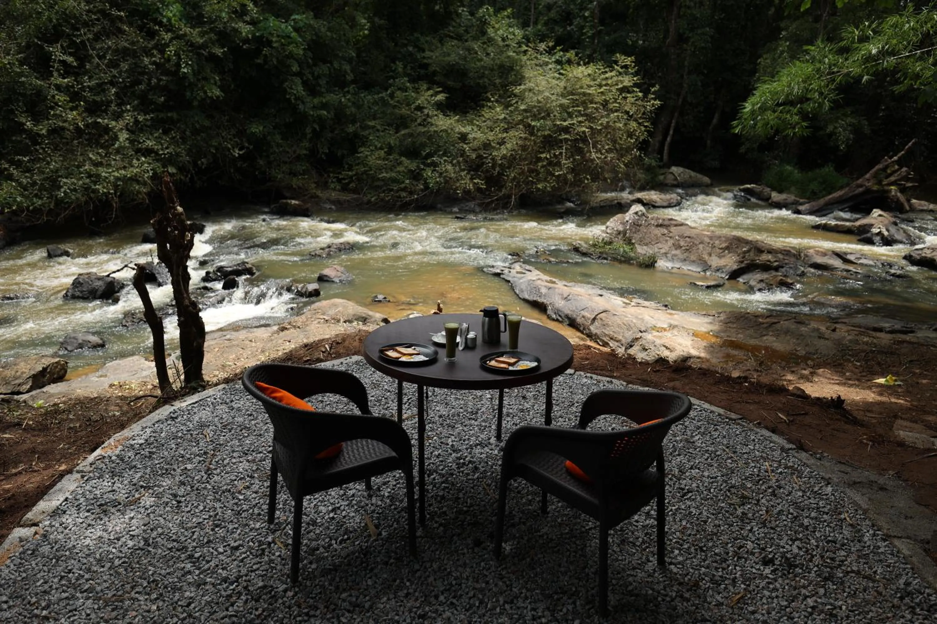 Natural landscape in Avadale Coorg - Stag Groups Not Allowed