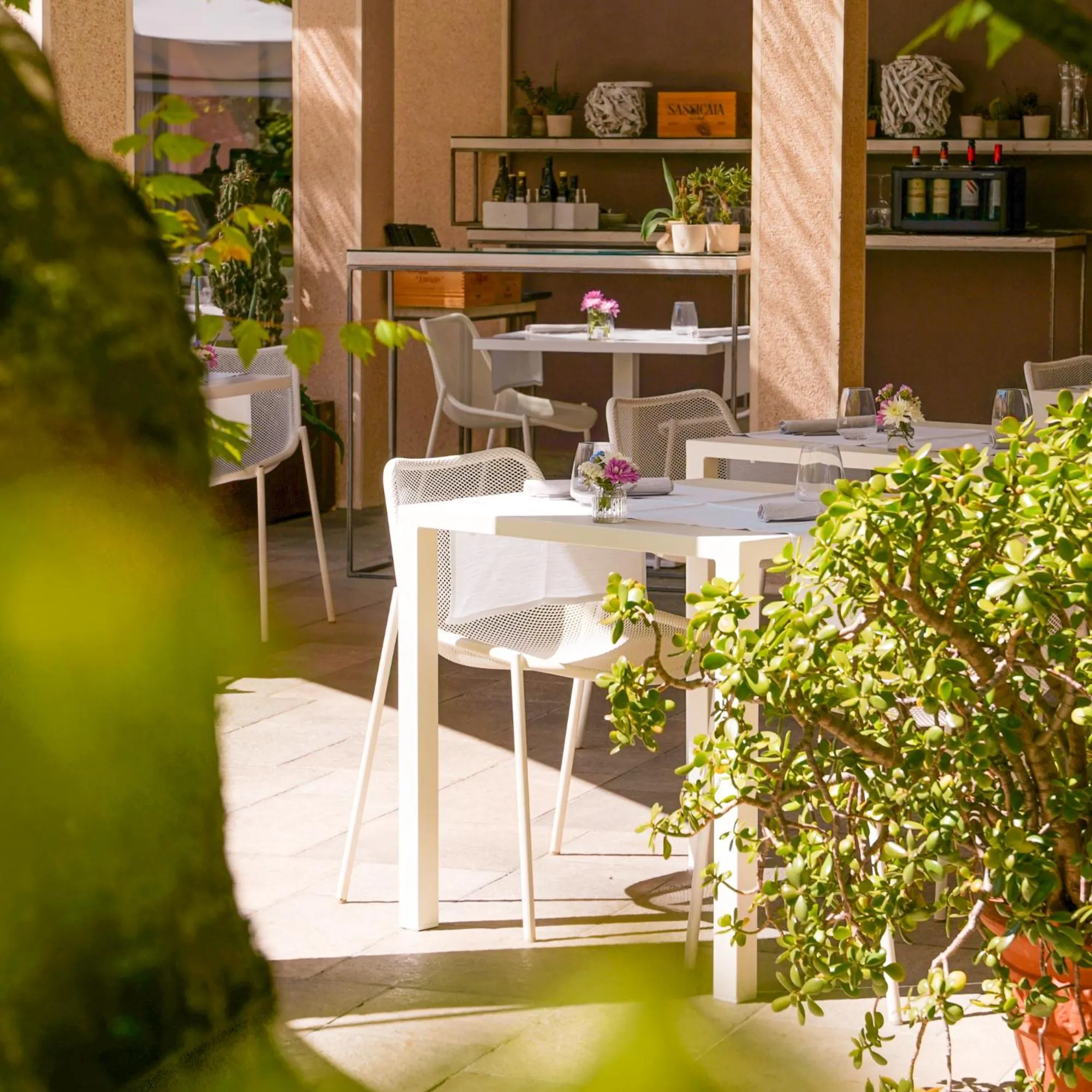 Restaurant/places to eat in Red's Redaelli Hotel